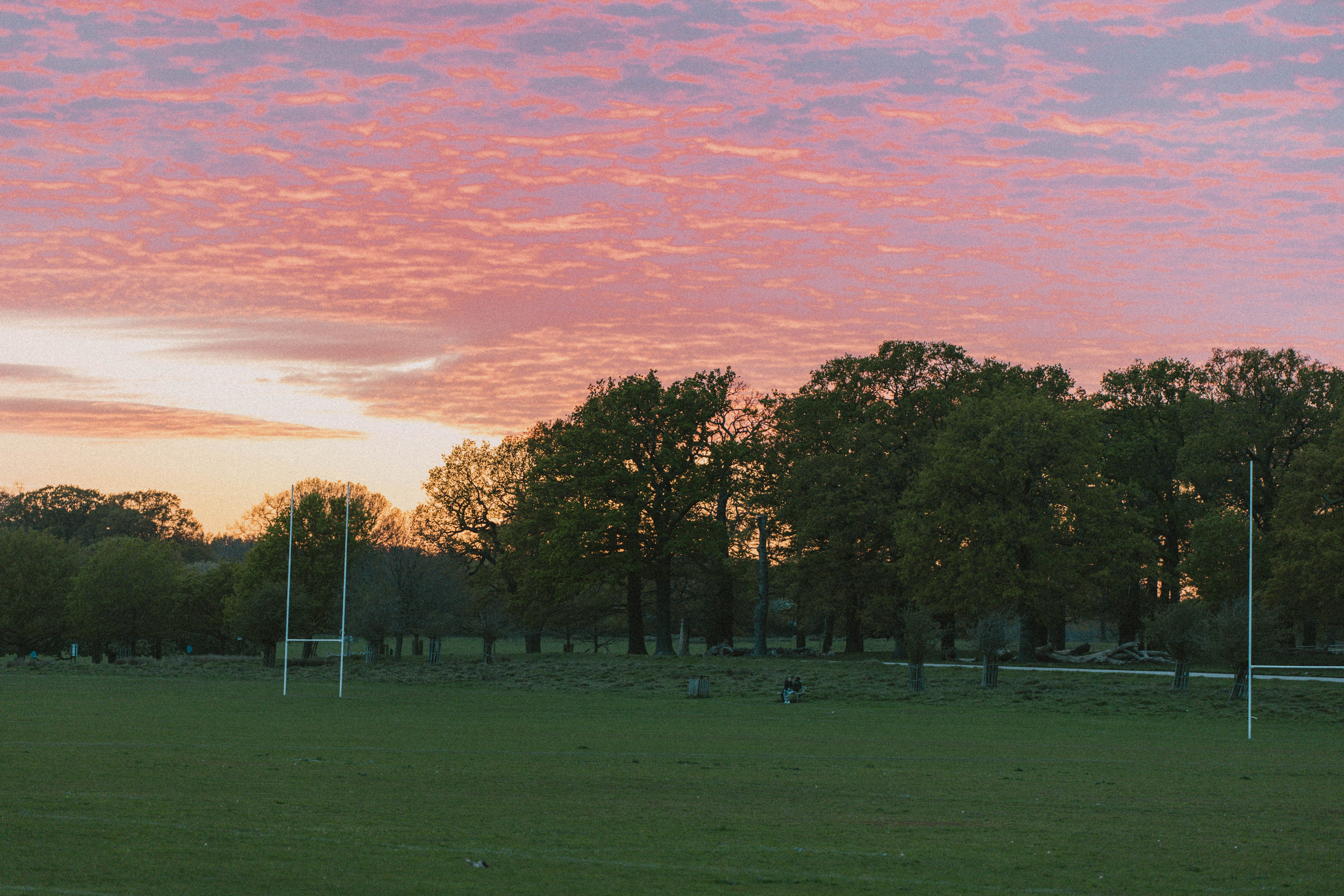 Richmond Park 162