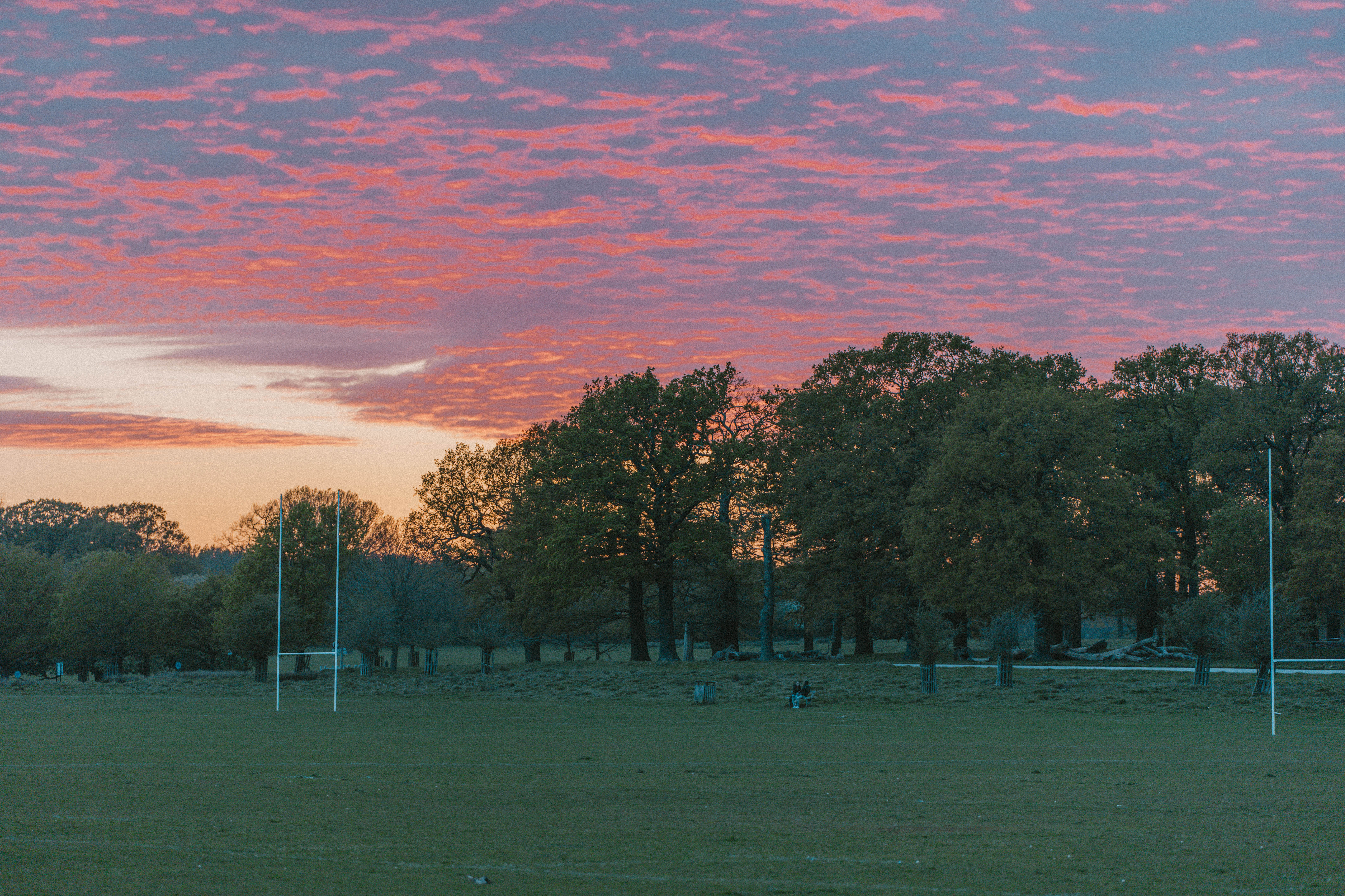Richmond Park 163