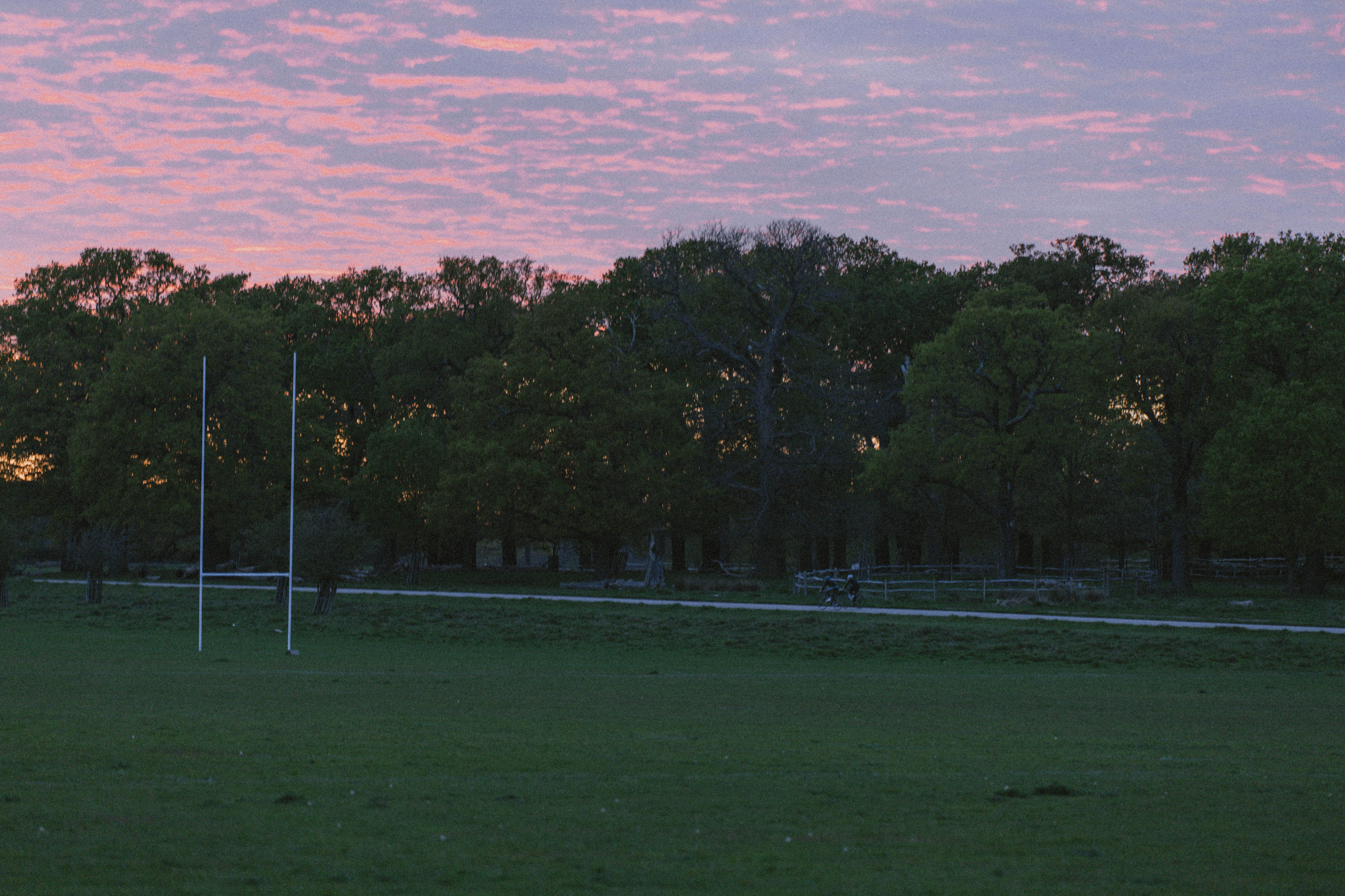Richmond Park 164