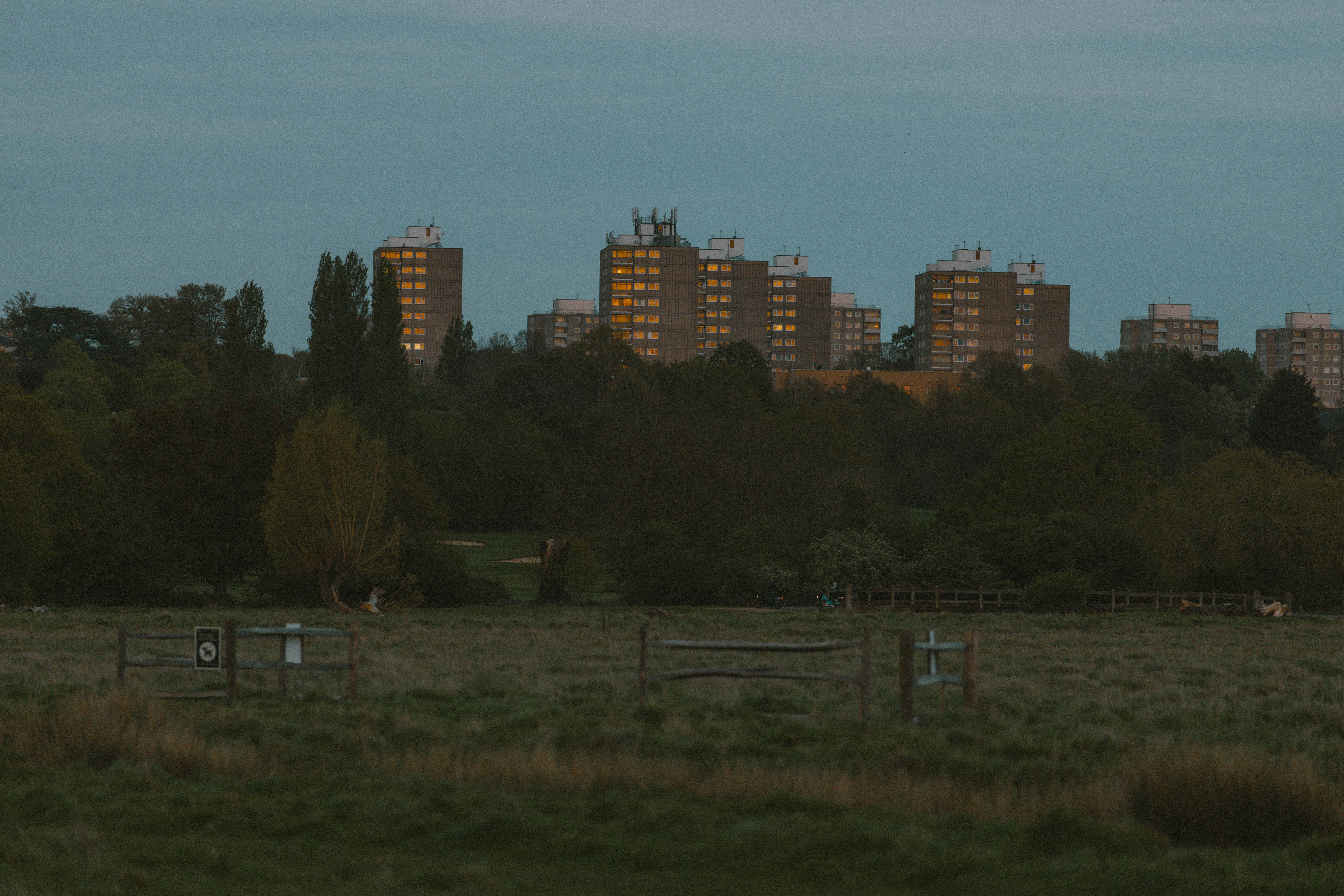 Richmond Park 166
