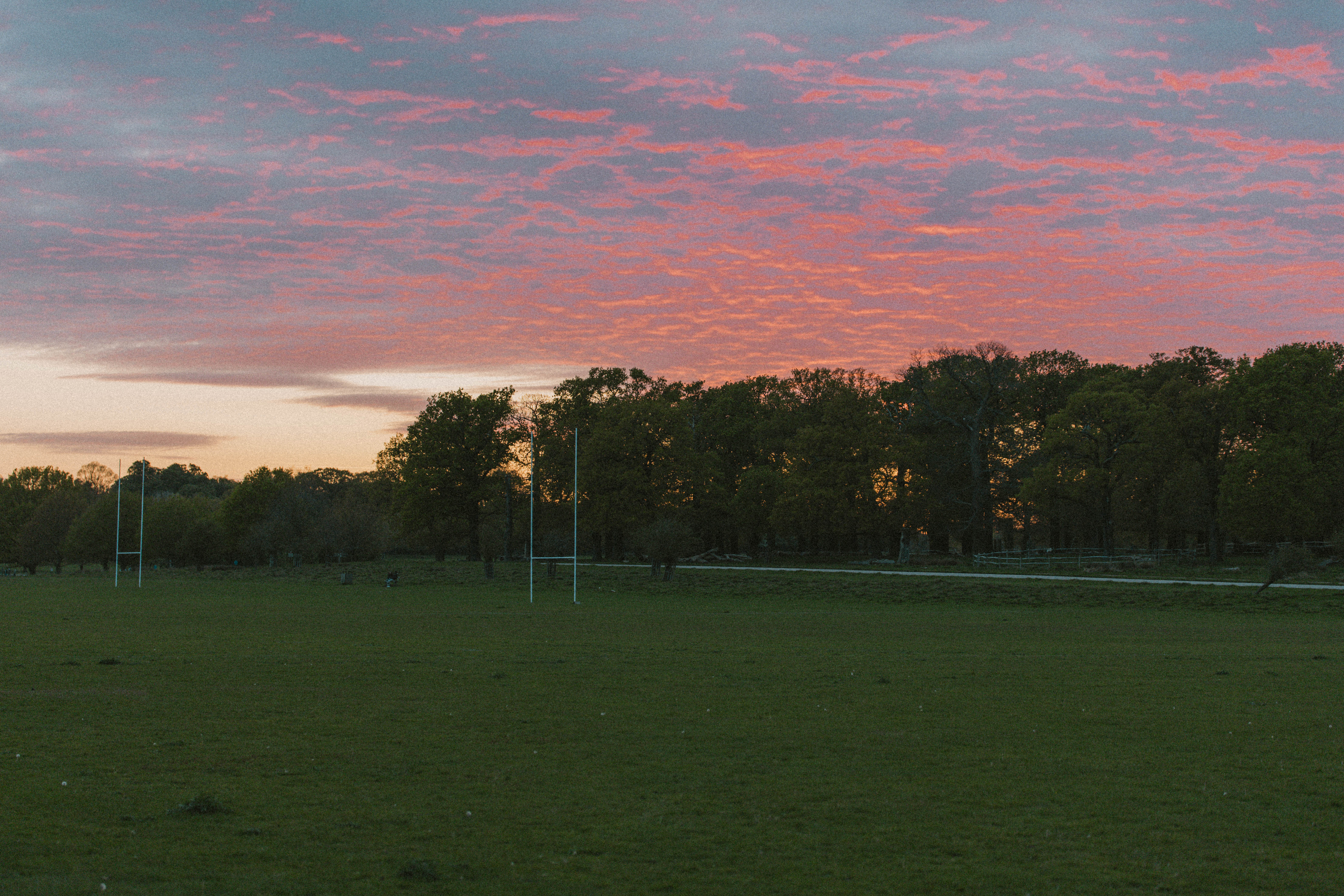 Richmond Park 167