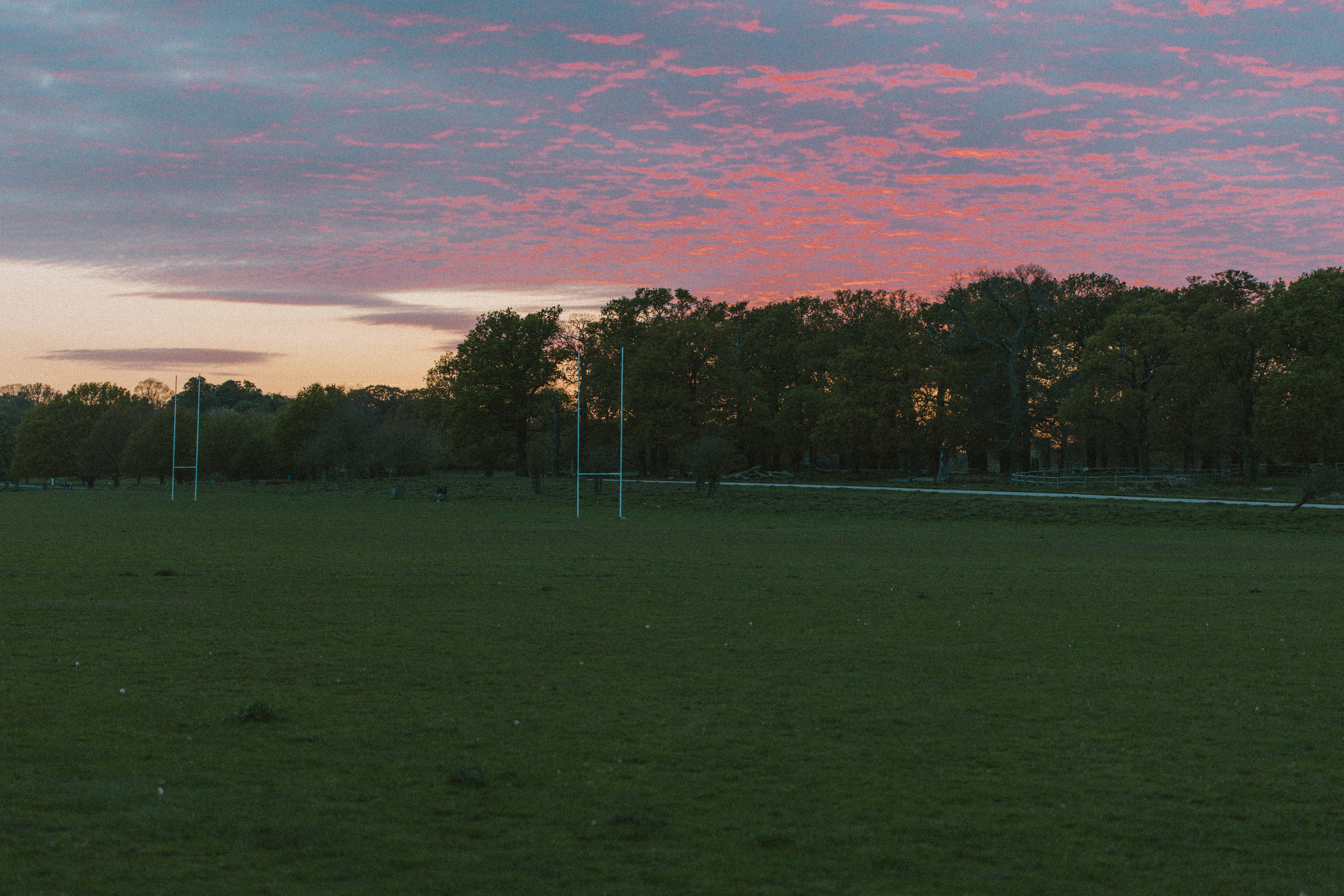 Richmond Park 168