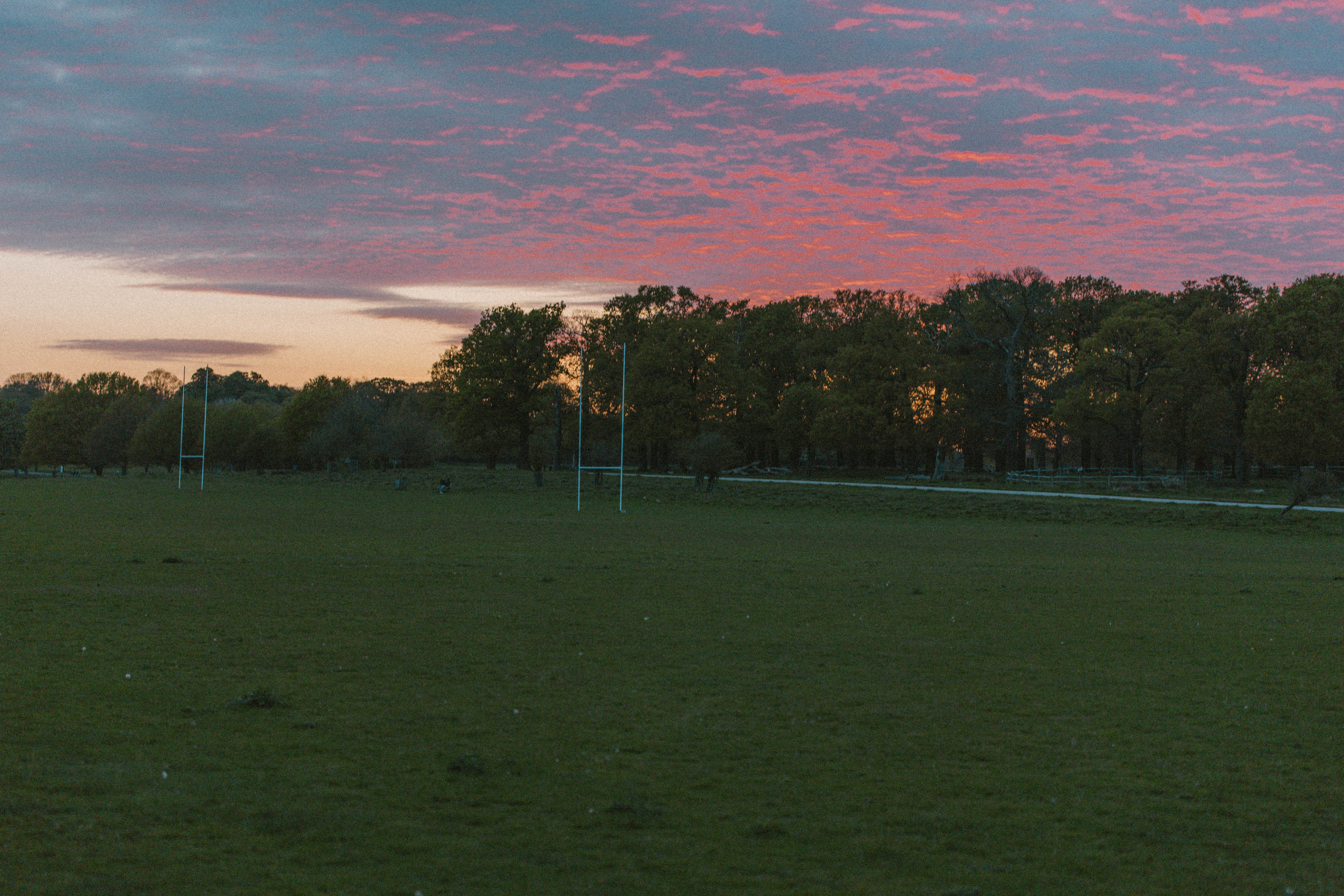 Richmond Park 169