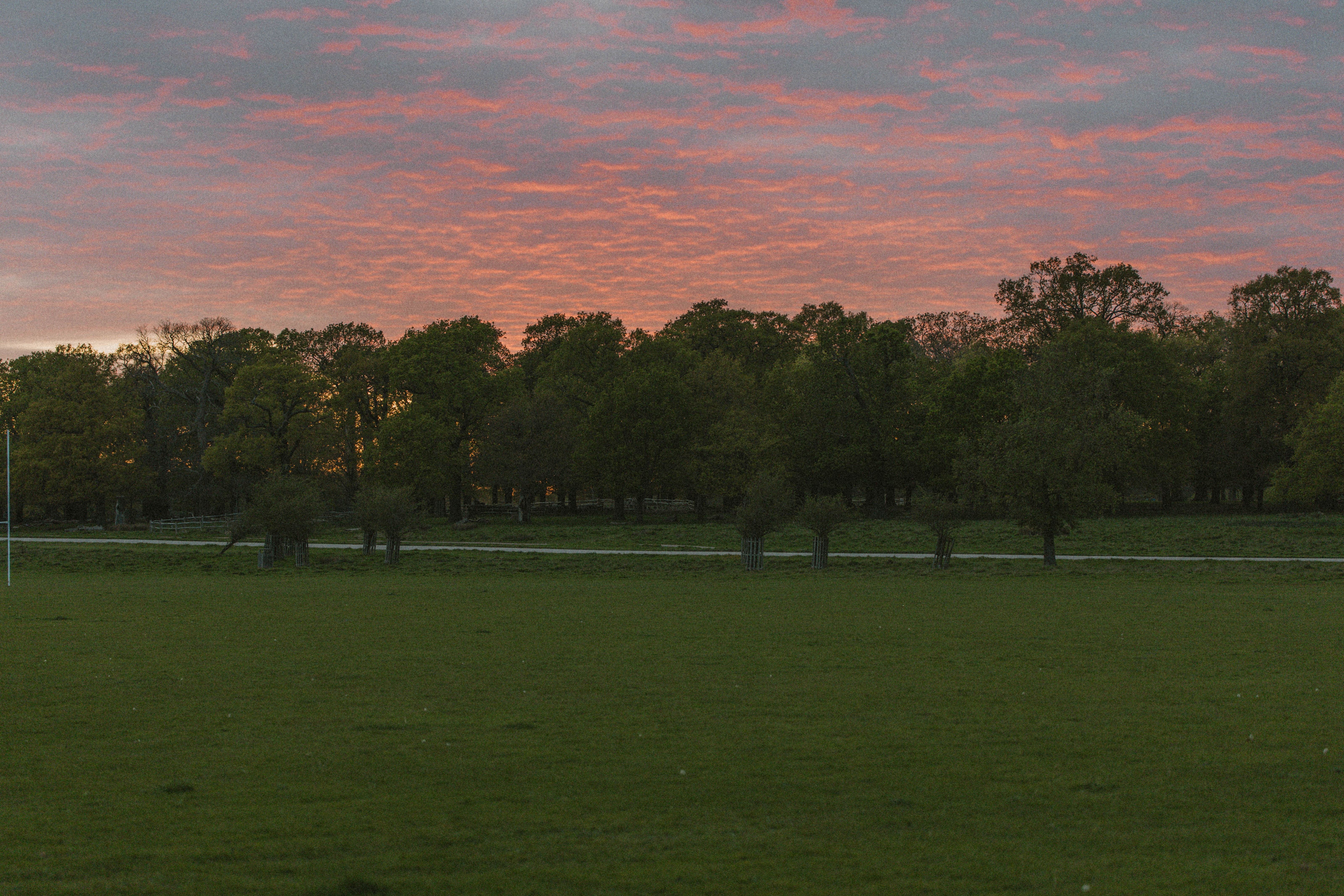 Richmond Park 171