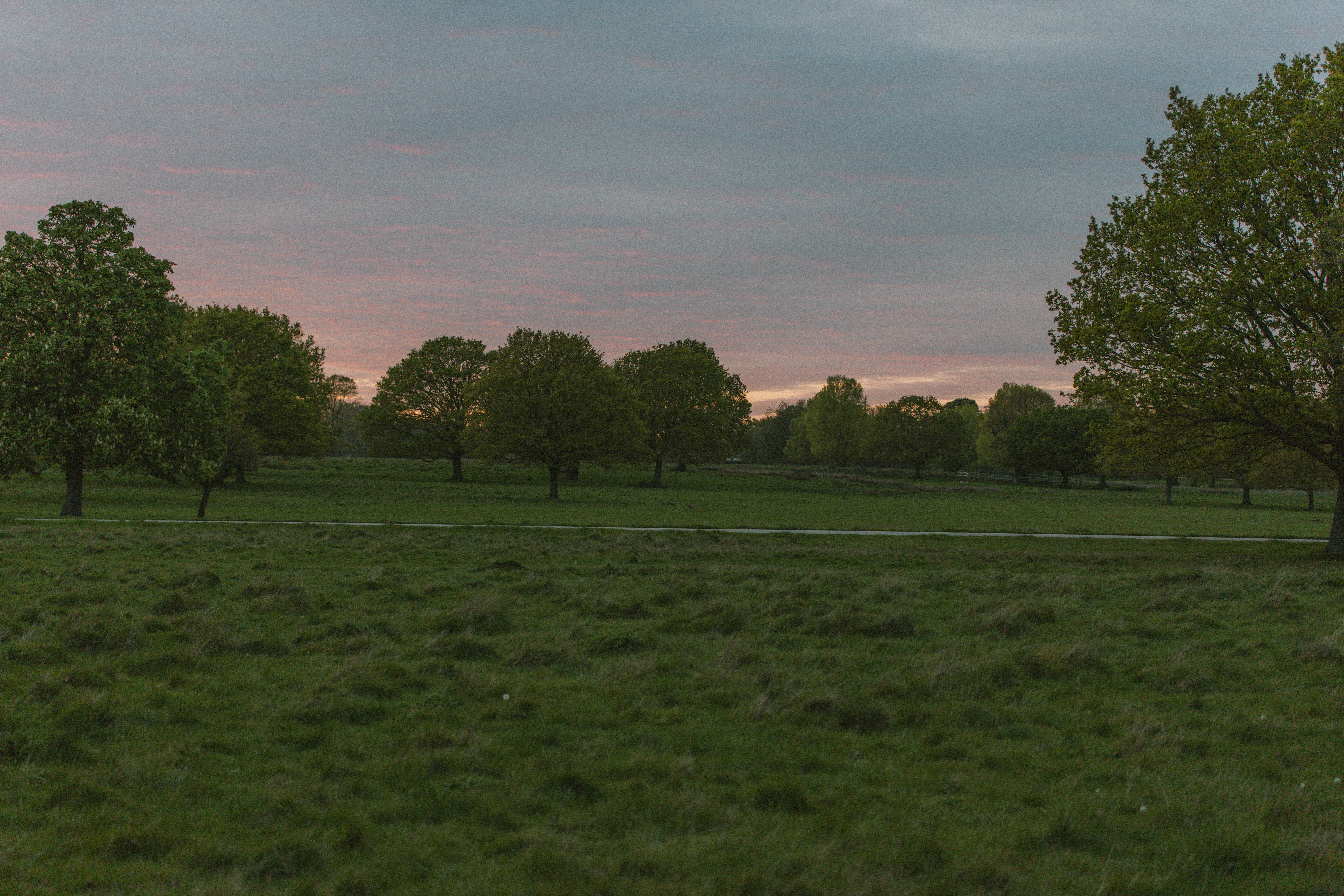 Richmond Park 172