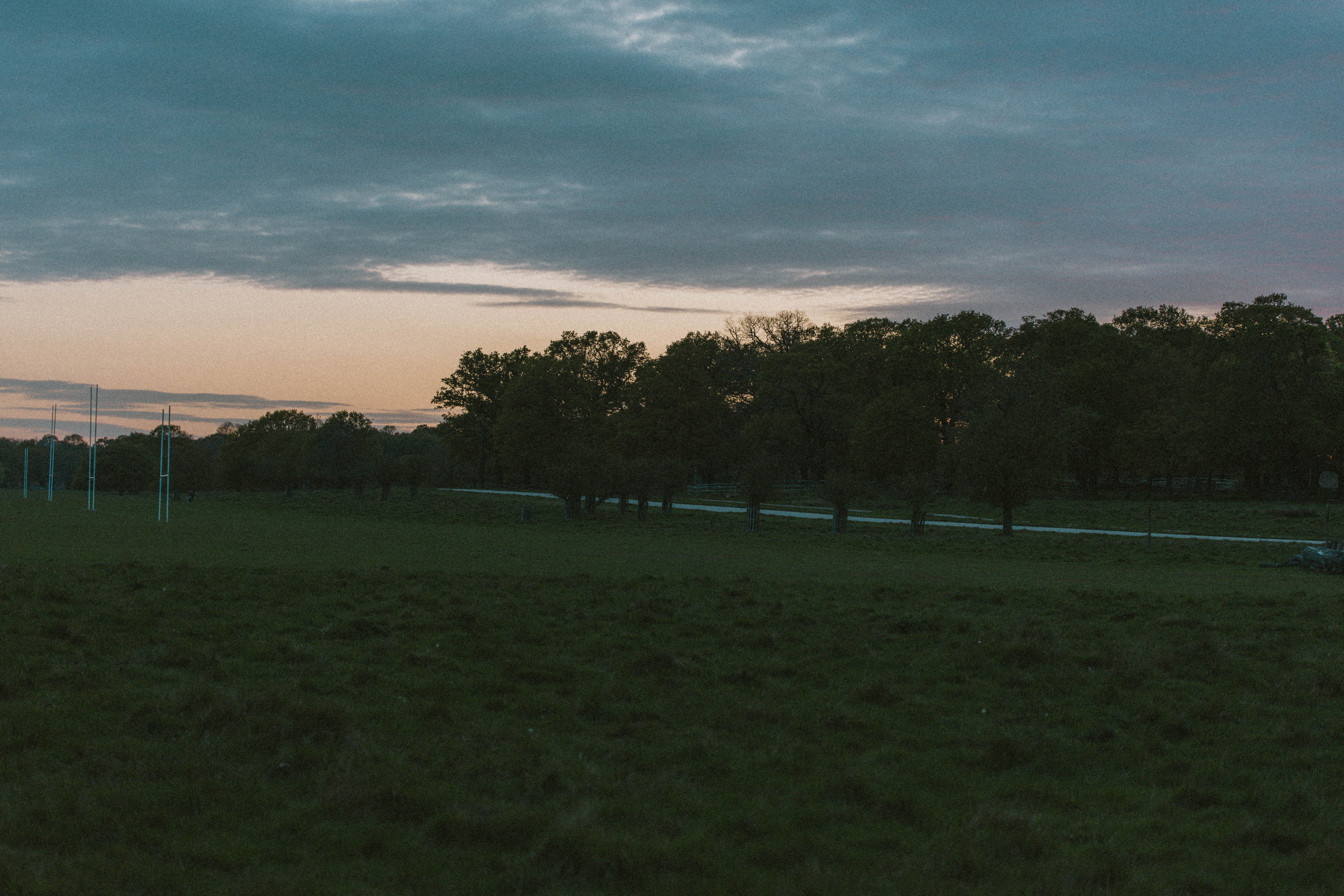 Richmond Park 173
