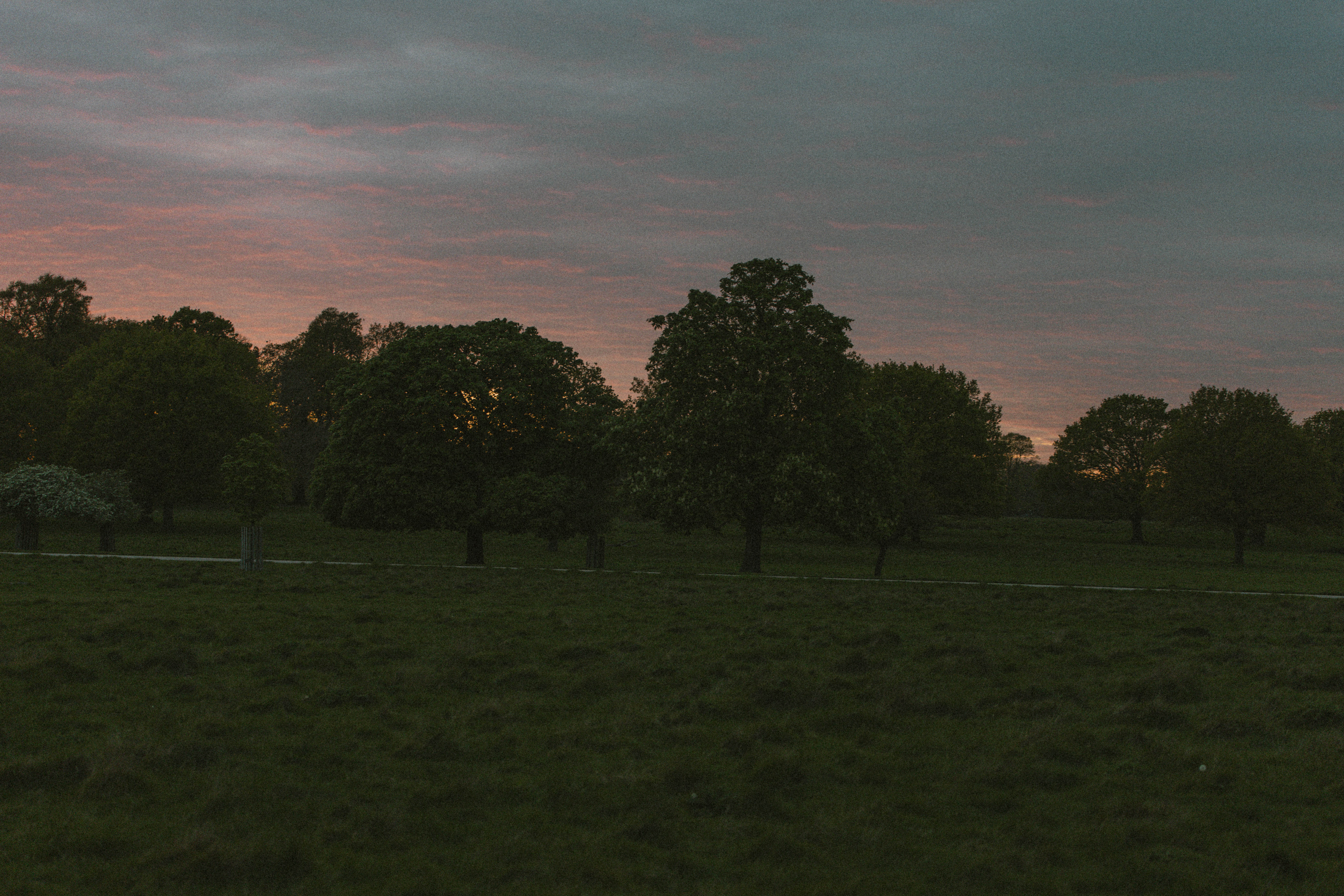 Richmond Park 174