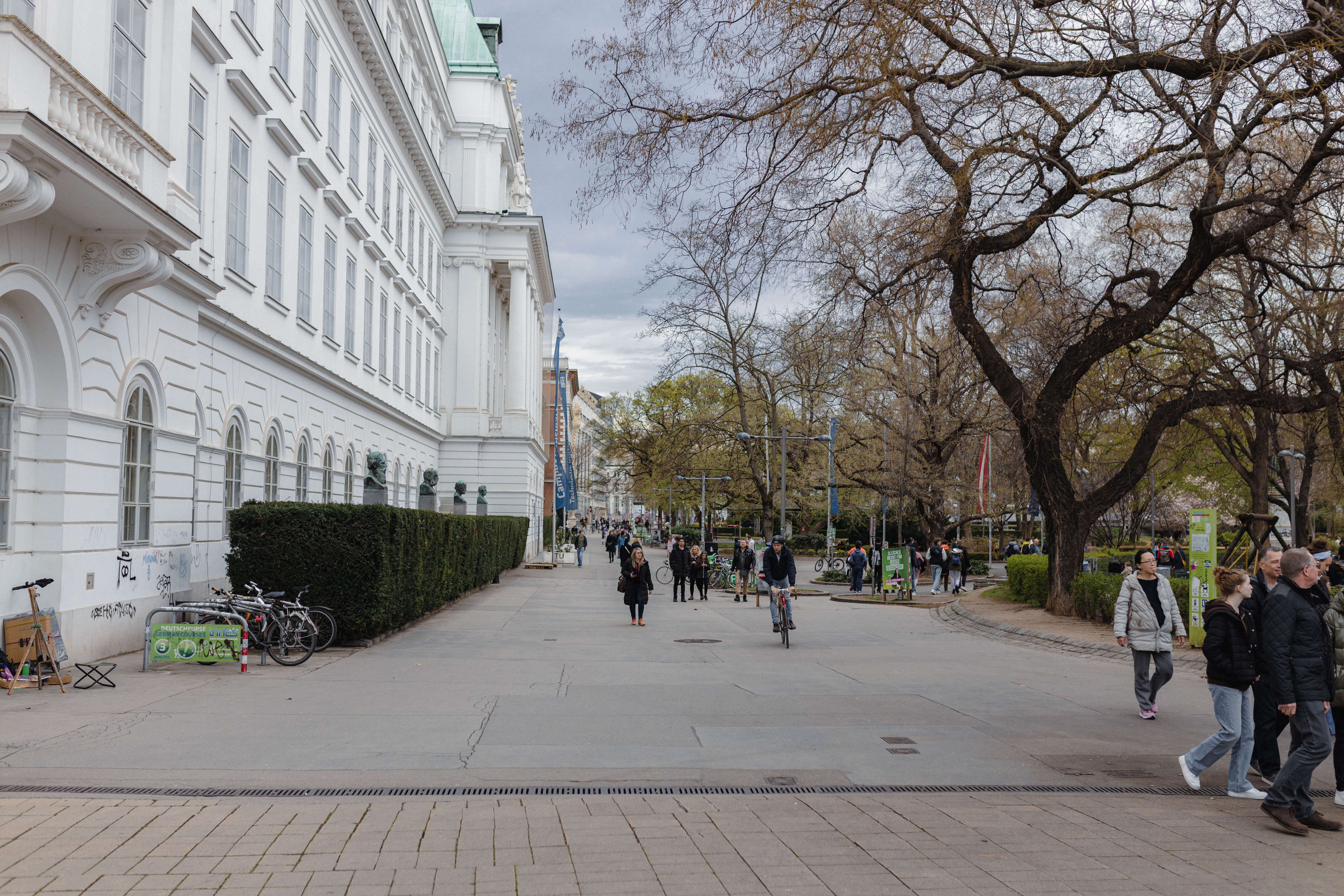 Vienna 302