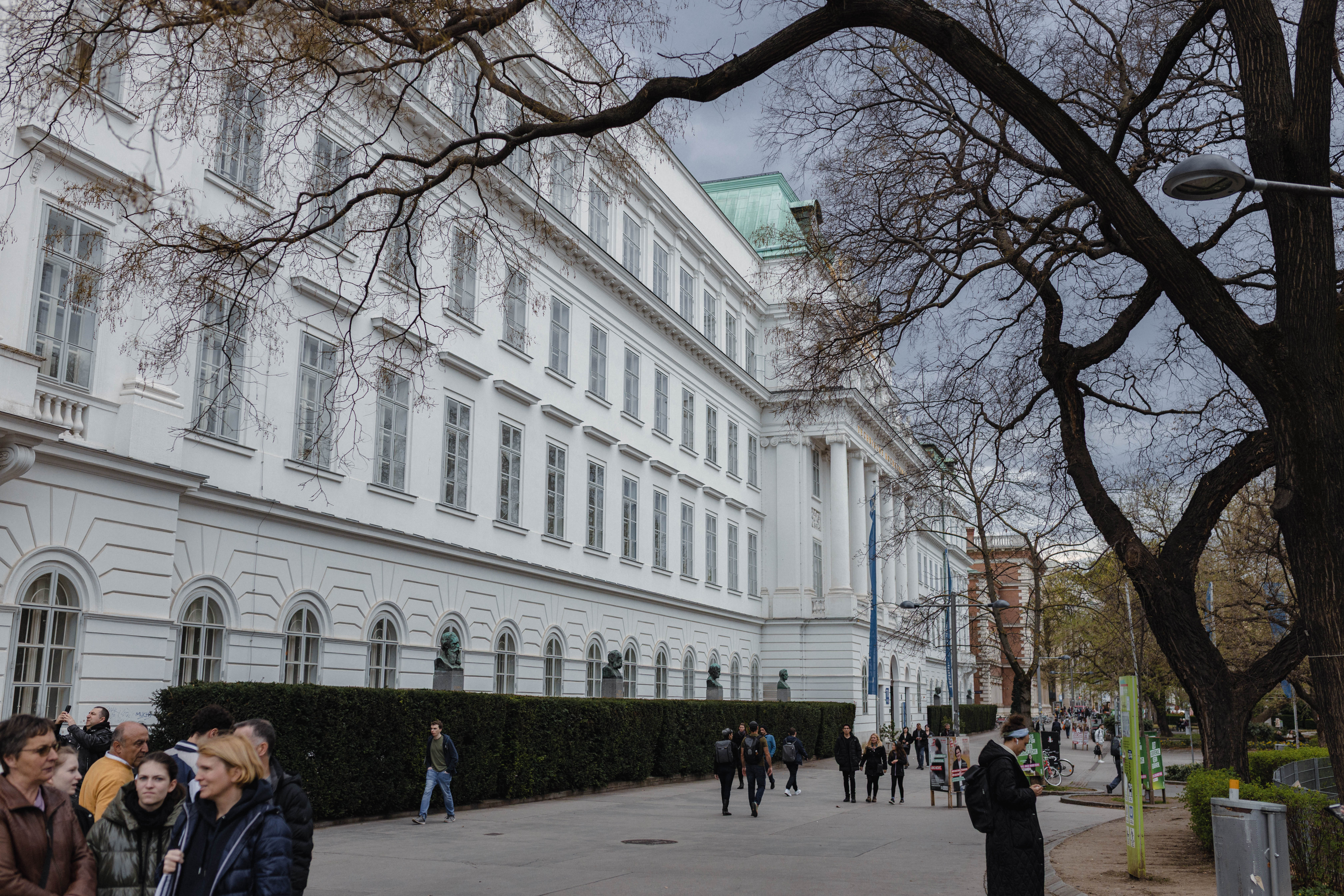 Vienna 303