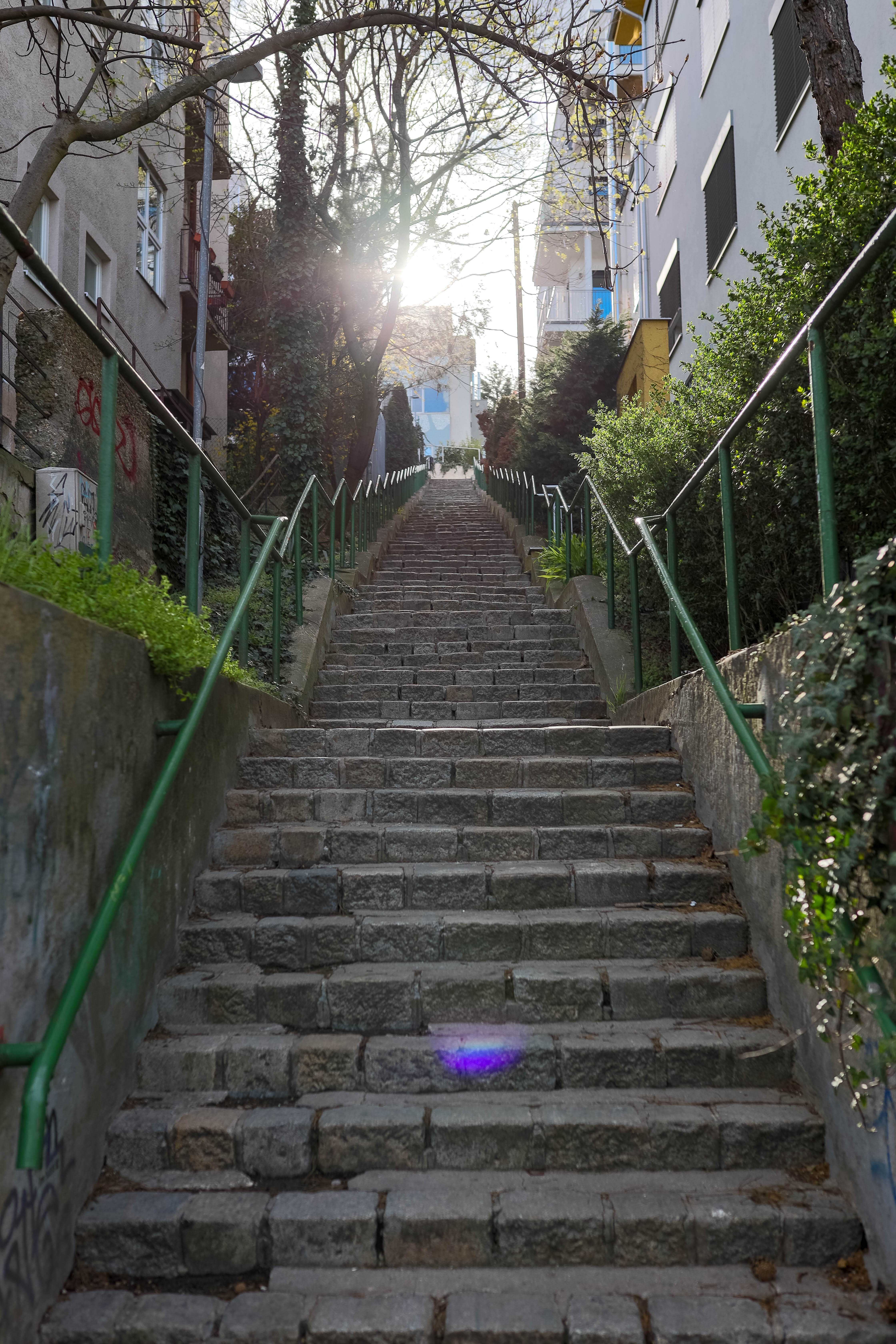 Bratislava 455