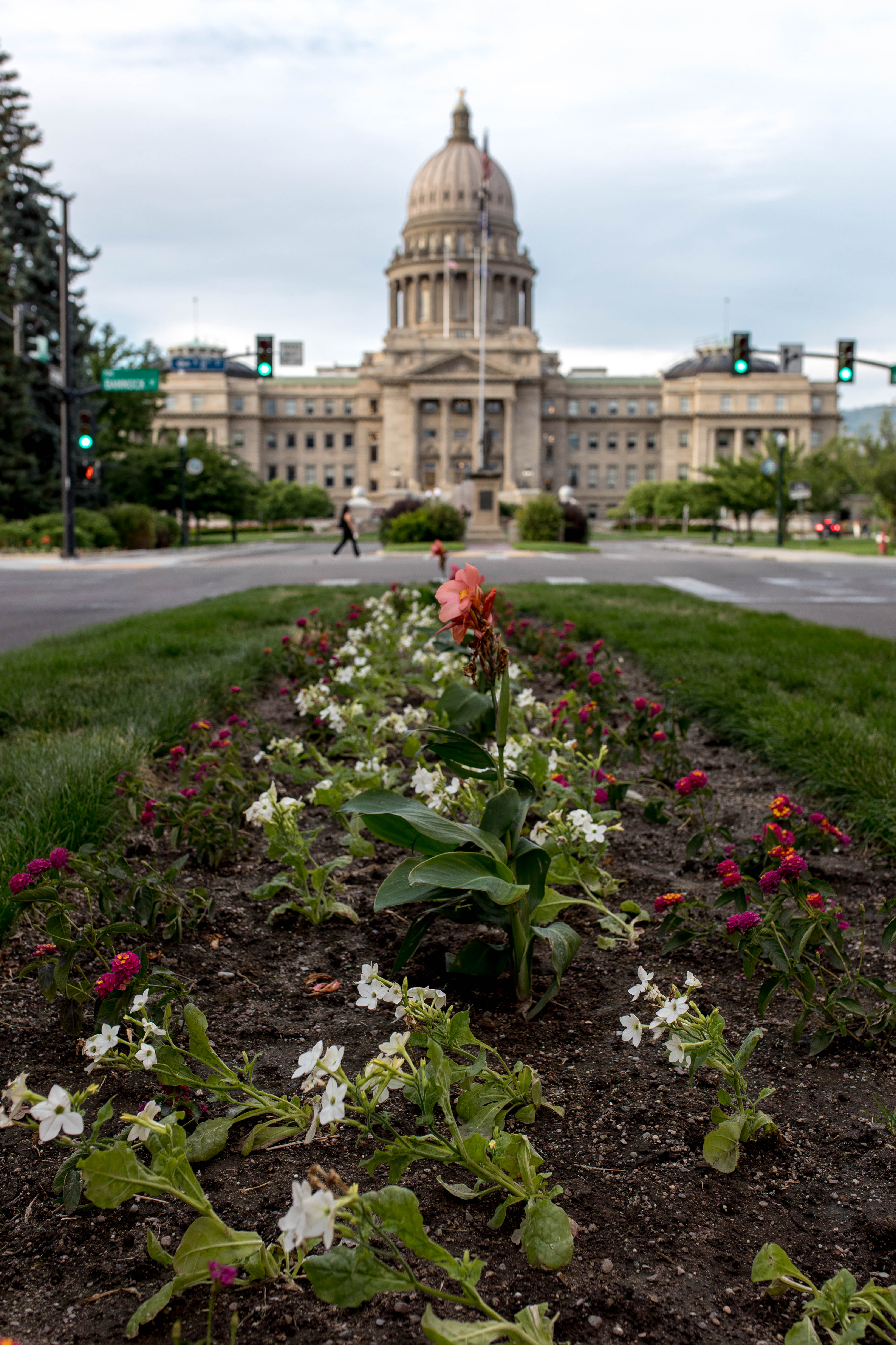 Boise 96