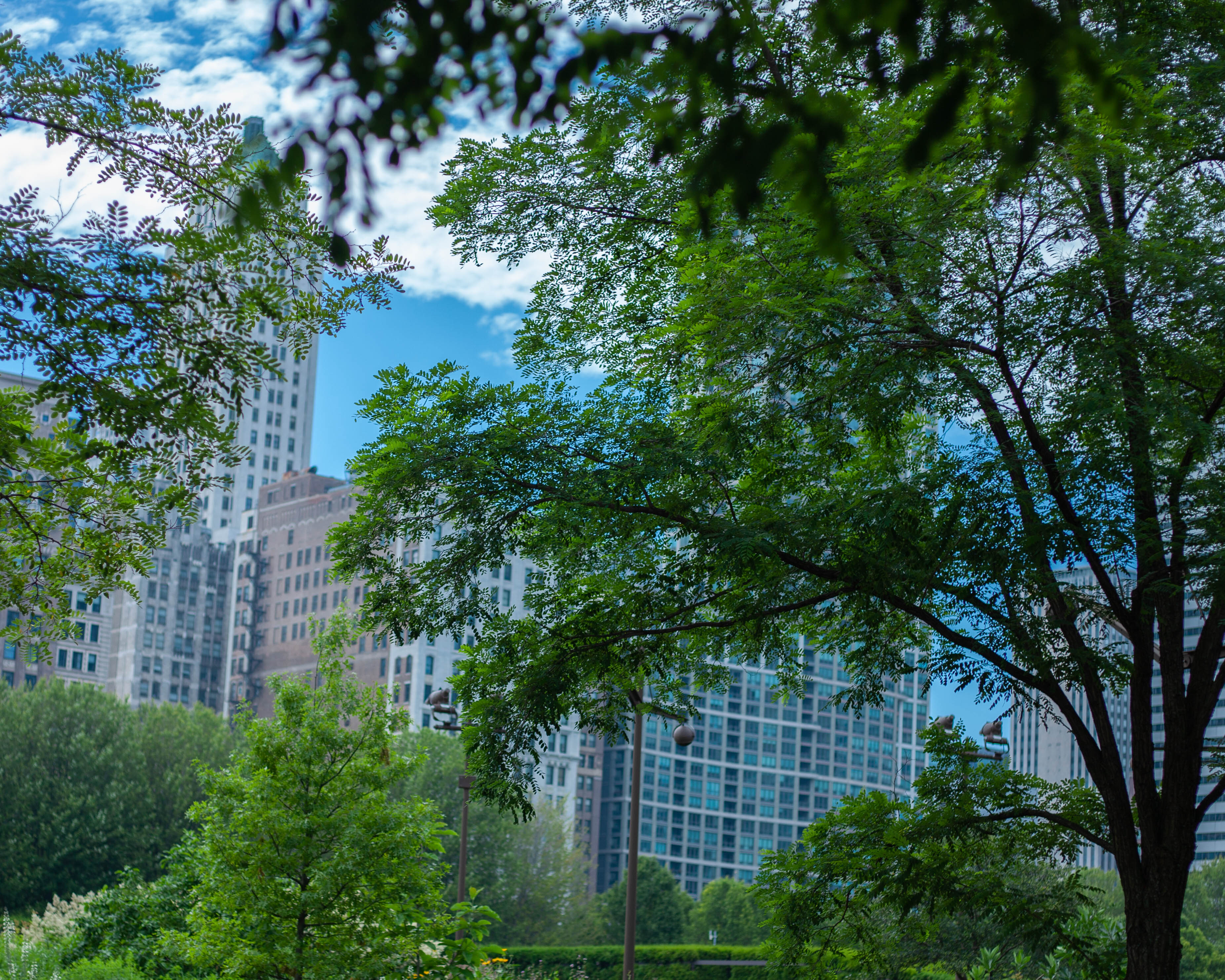 Chicago 31