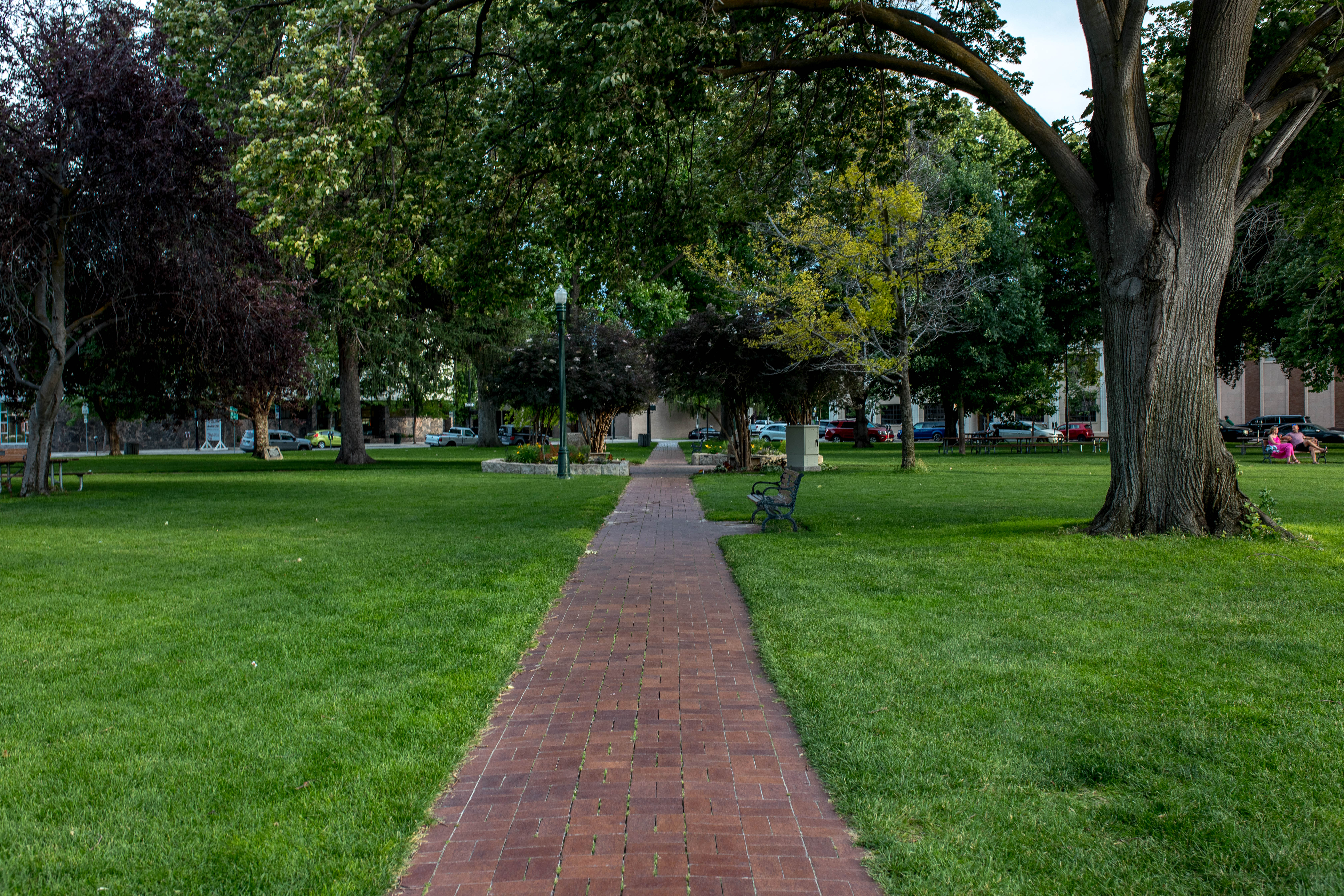 Boise 113
