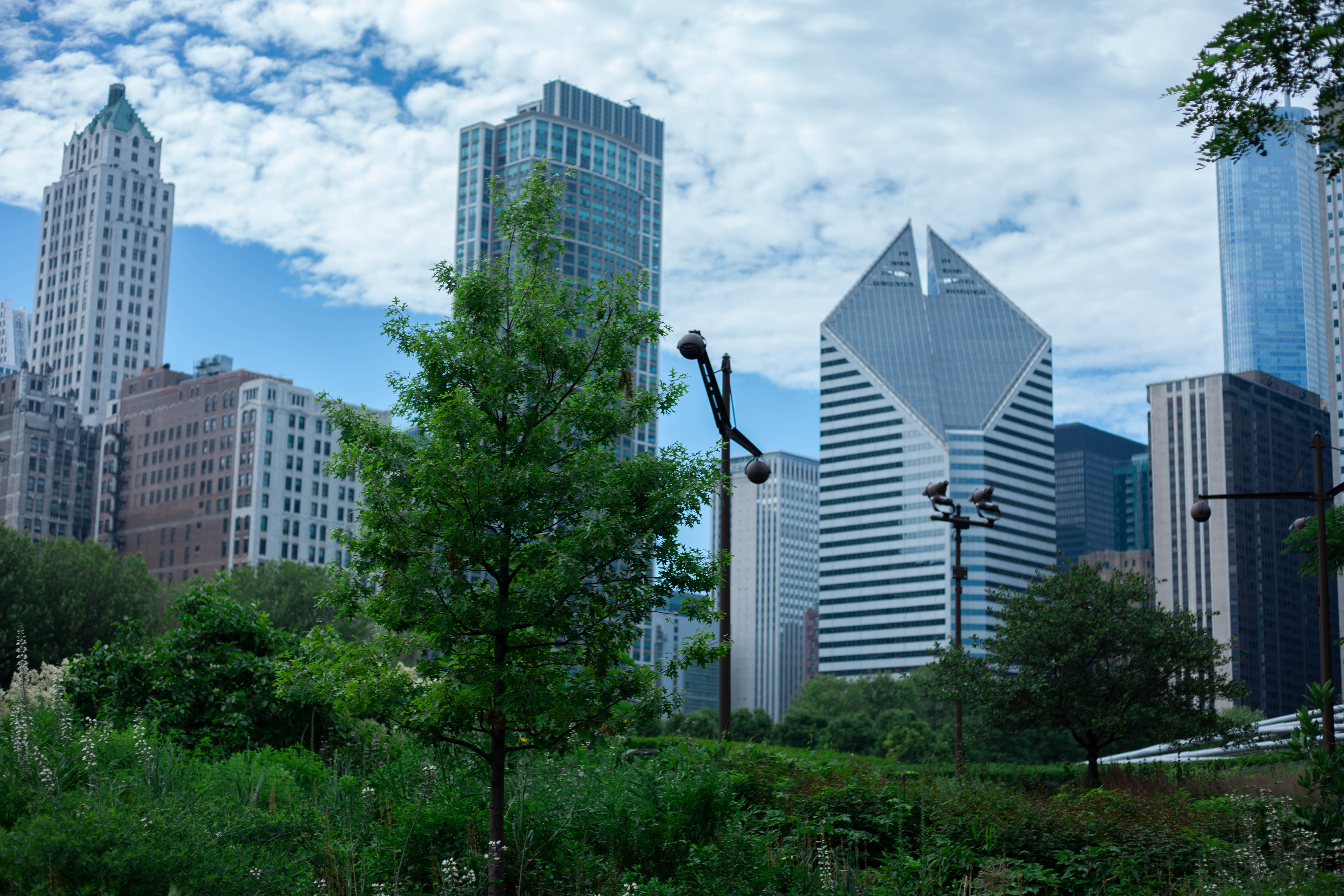 Chicago 33