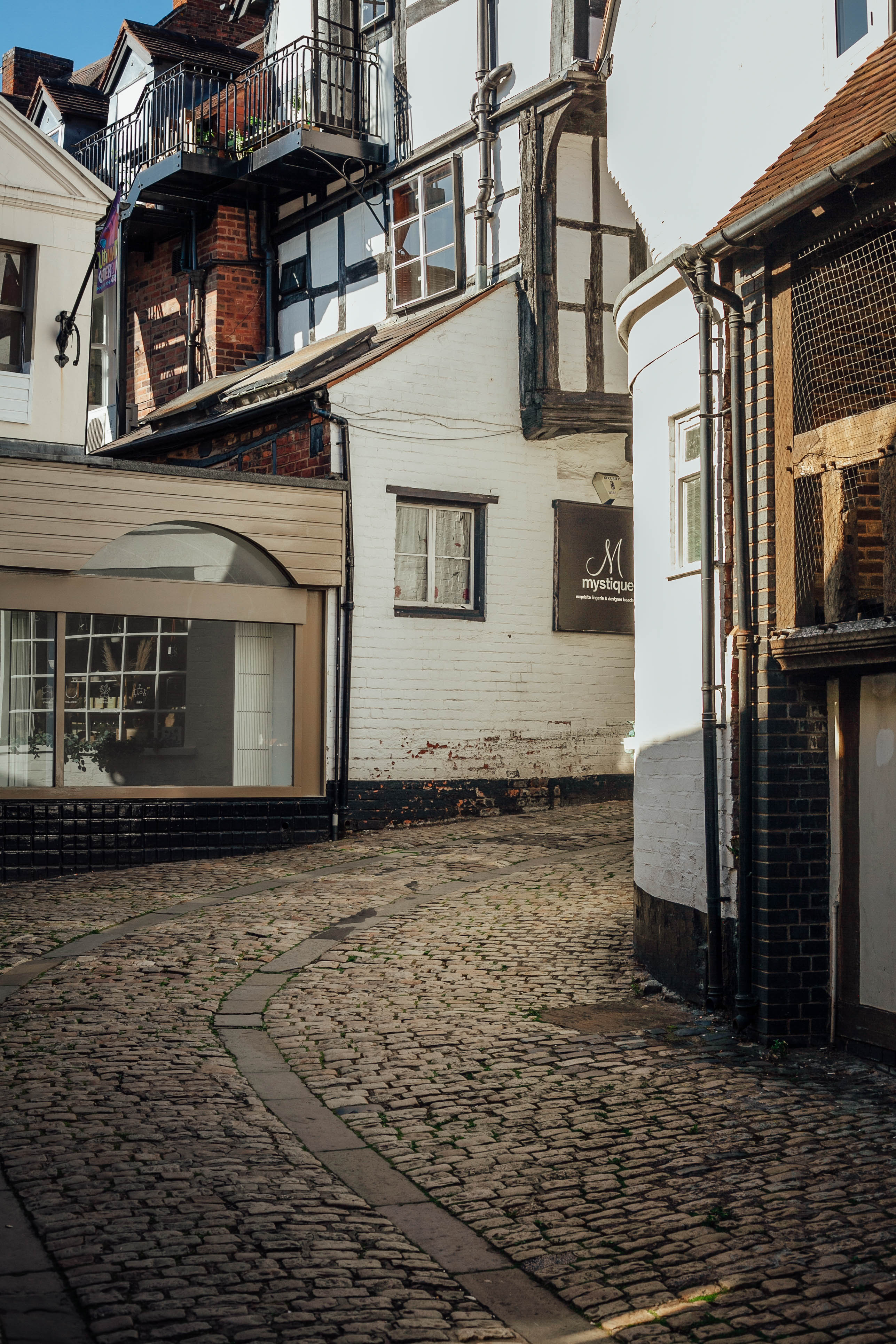 Shrewsbury & Ironbridge 110