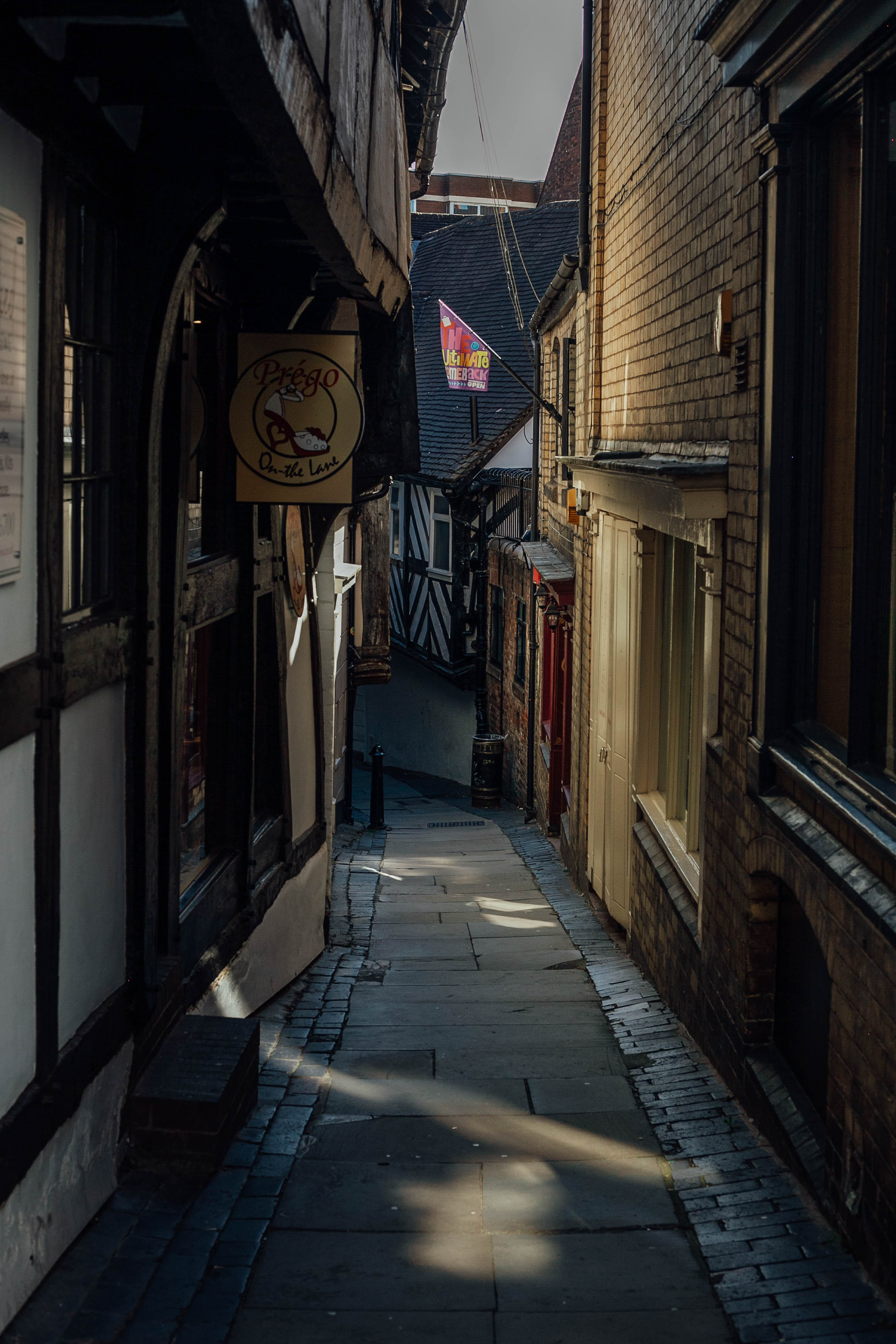 Shrewsbury & Ironbridge 113
