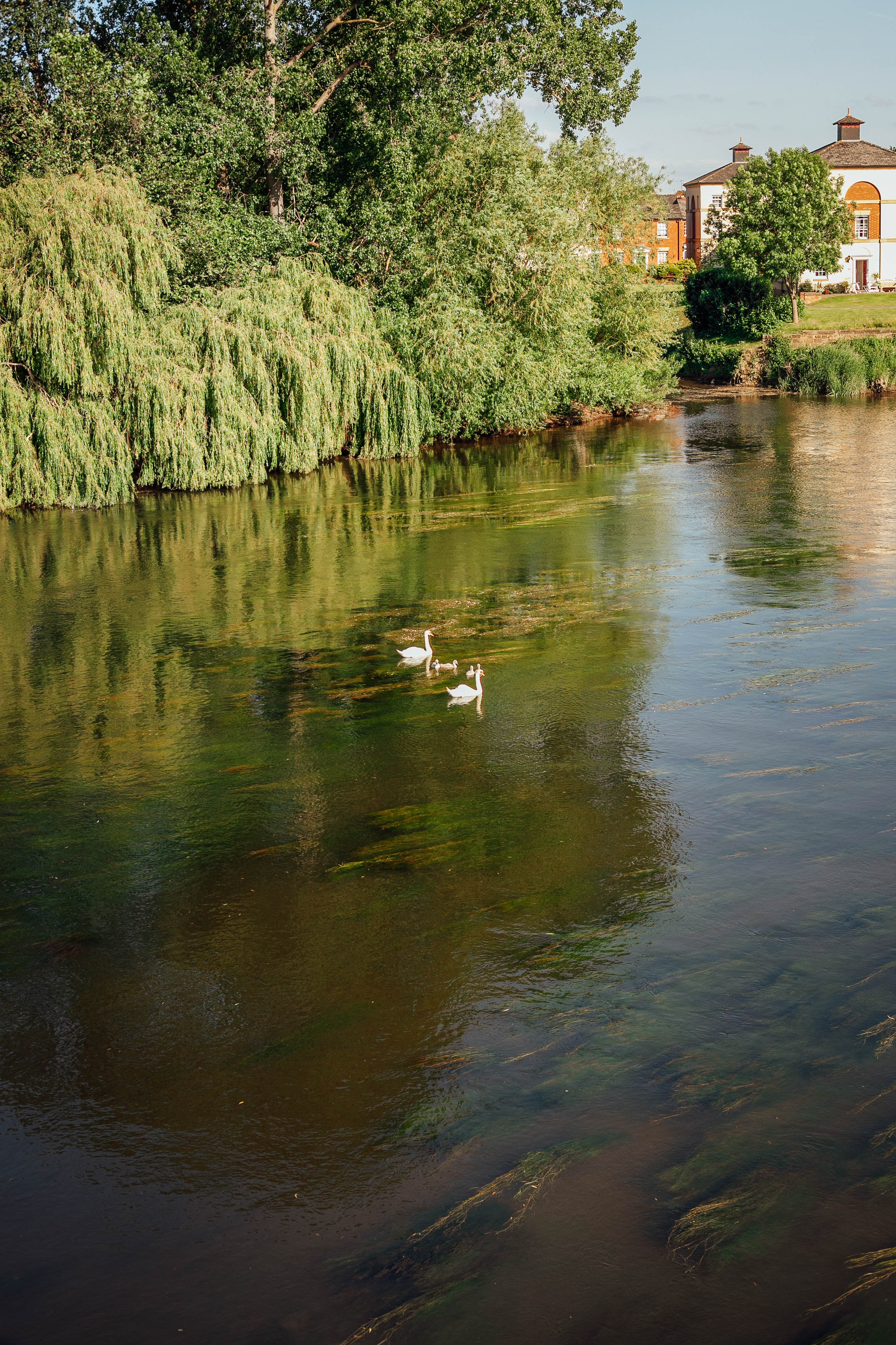 Shrewsbury & Ironbridge 135