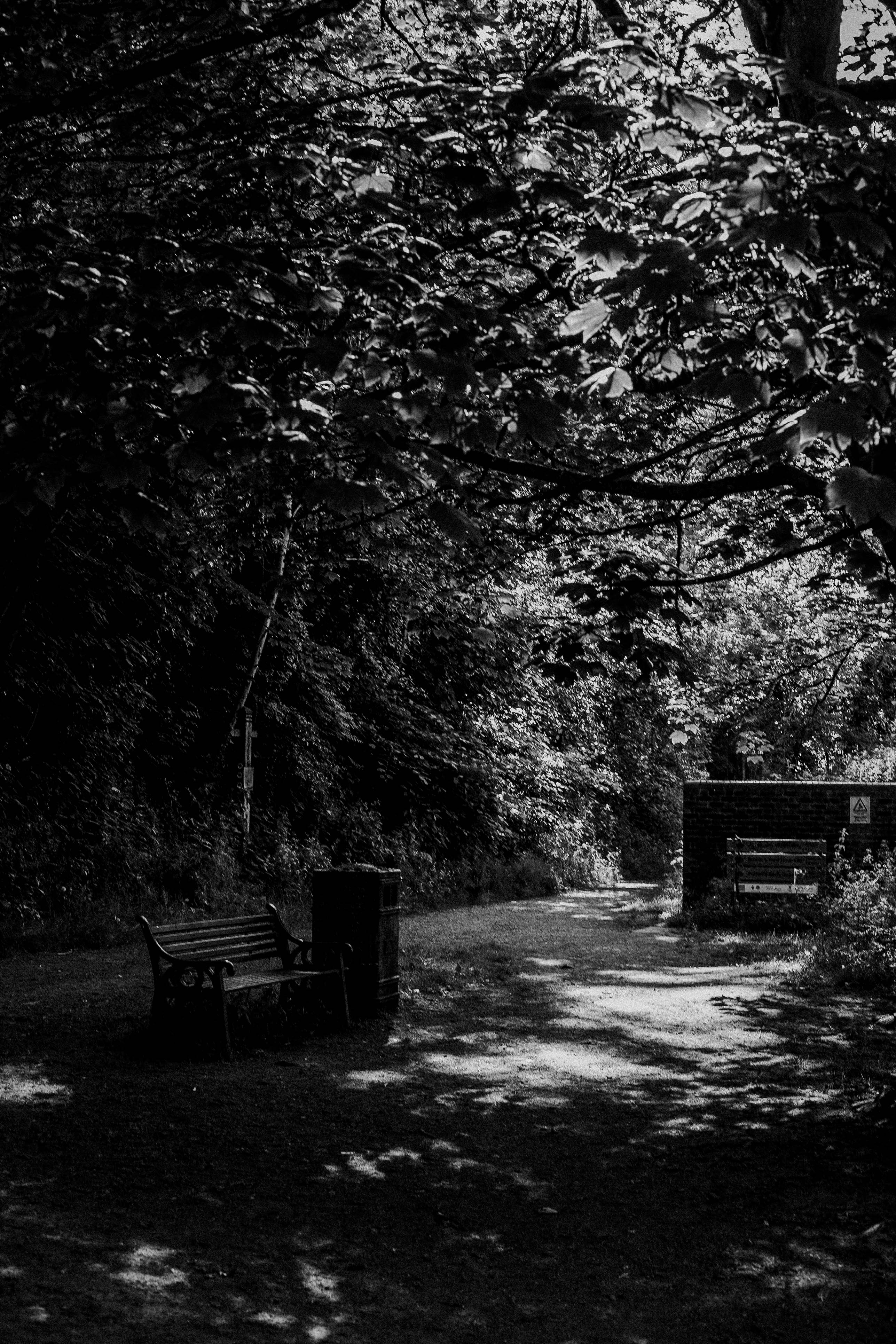 Shrewsbury & Ironbridge 196