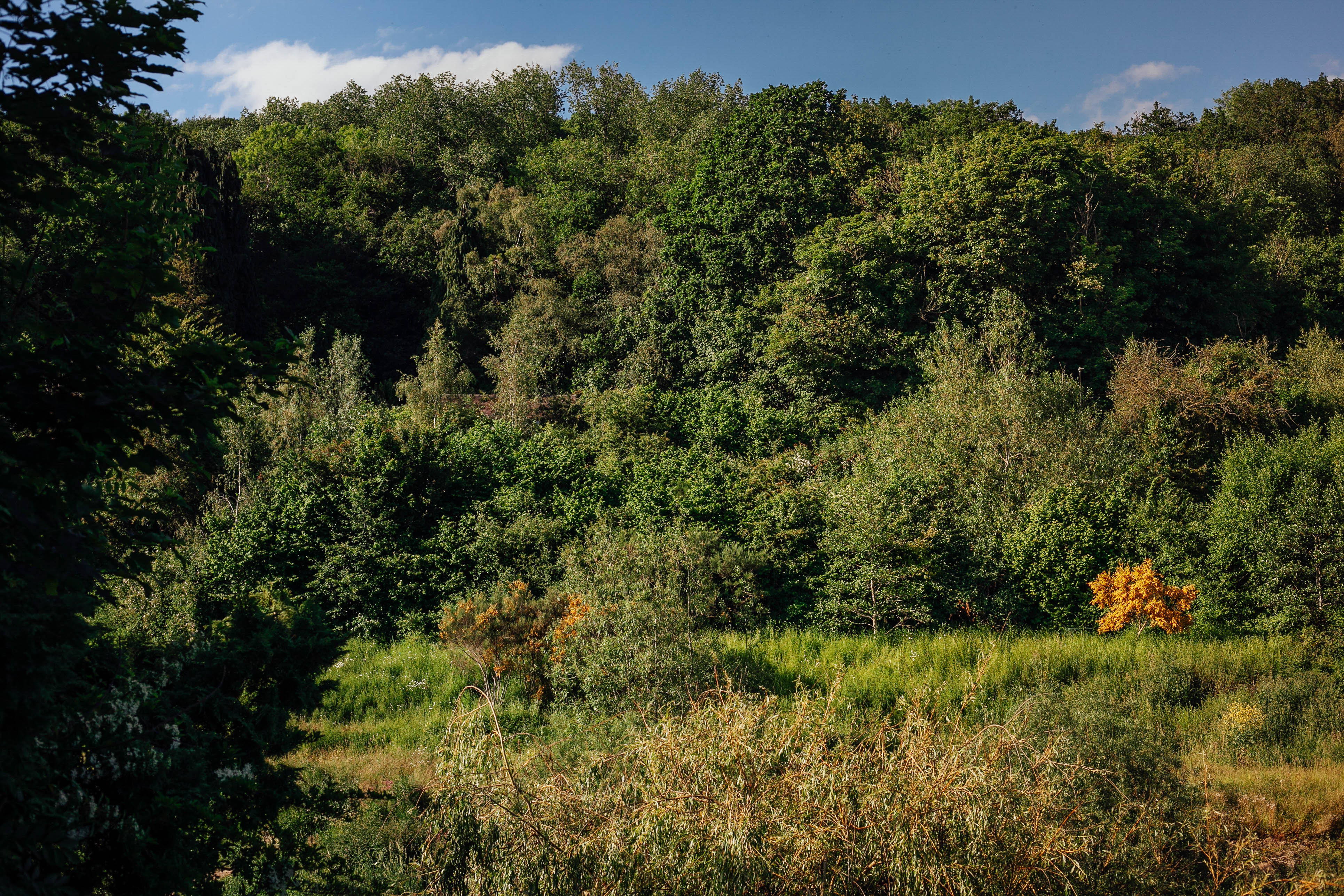 Shrewsbury & Ironbridge 218