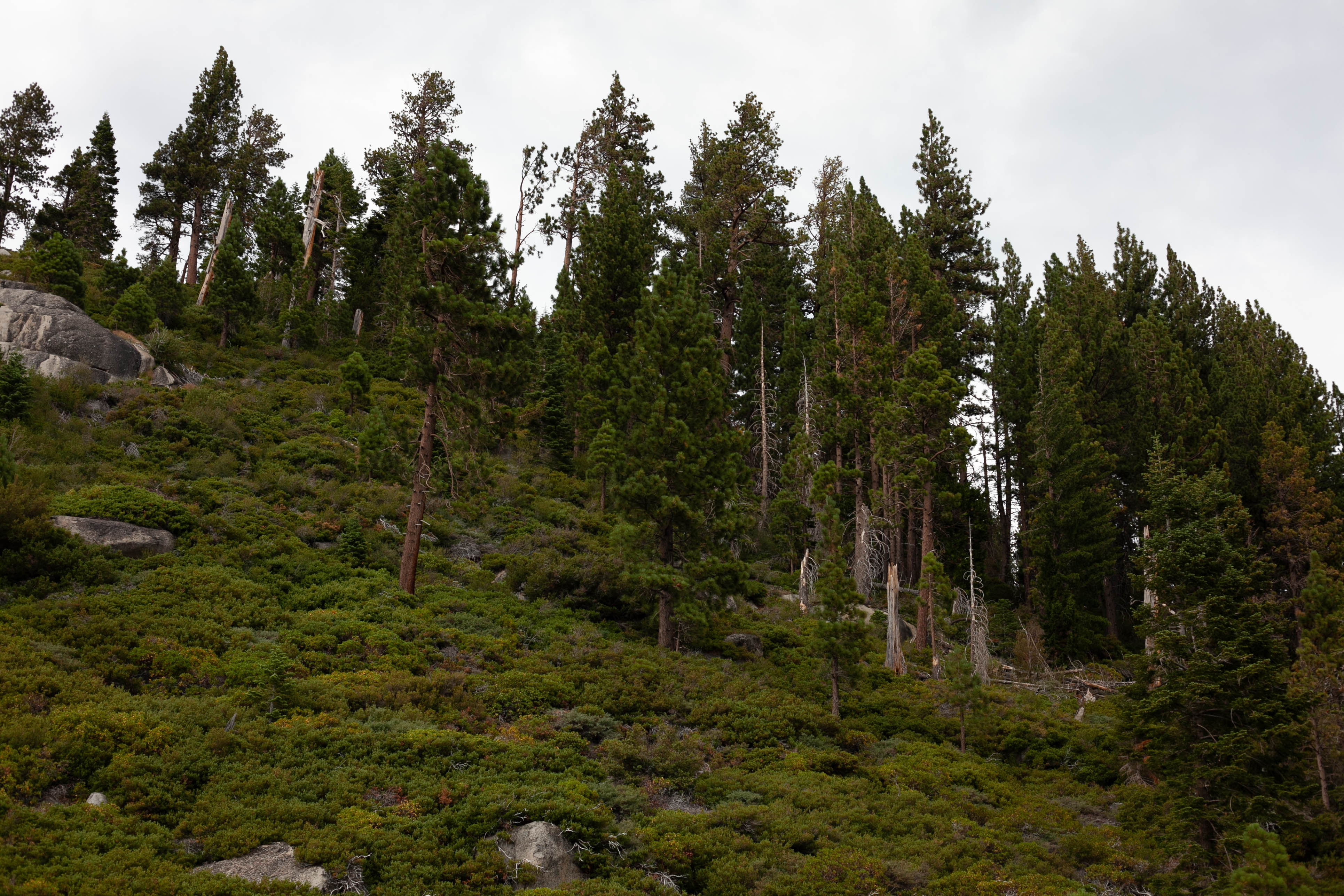Lake Tahoe 187