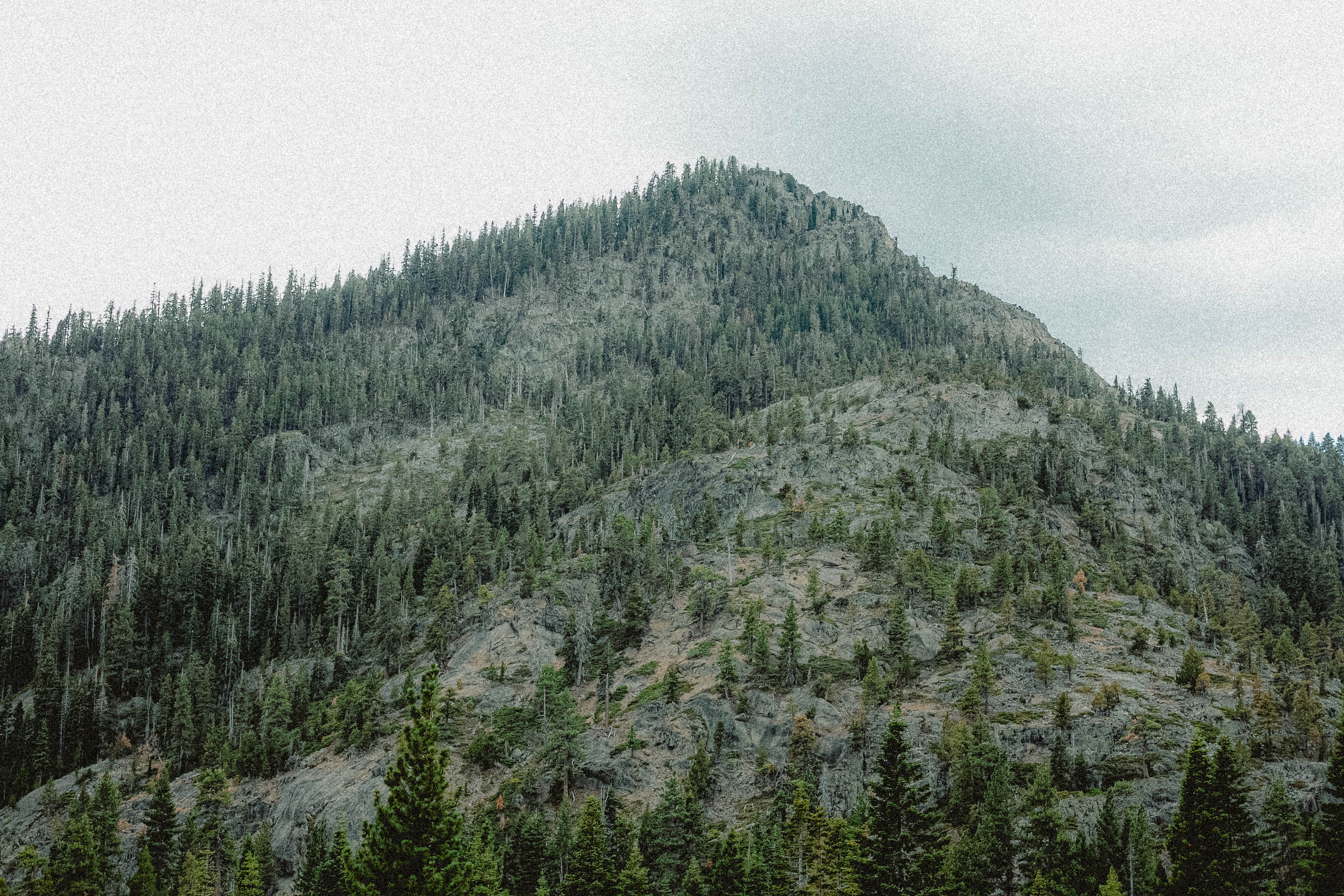Lake Tahoe 194