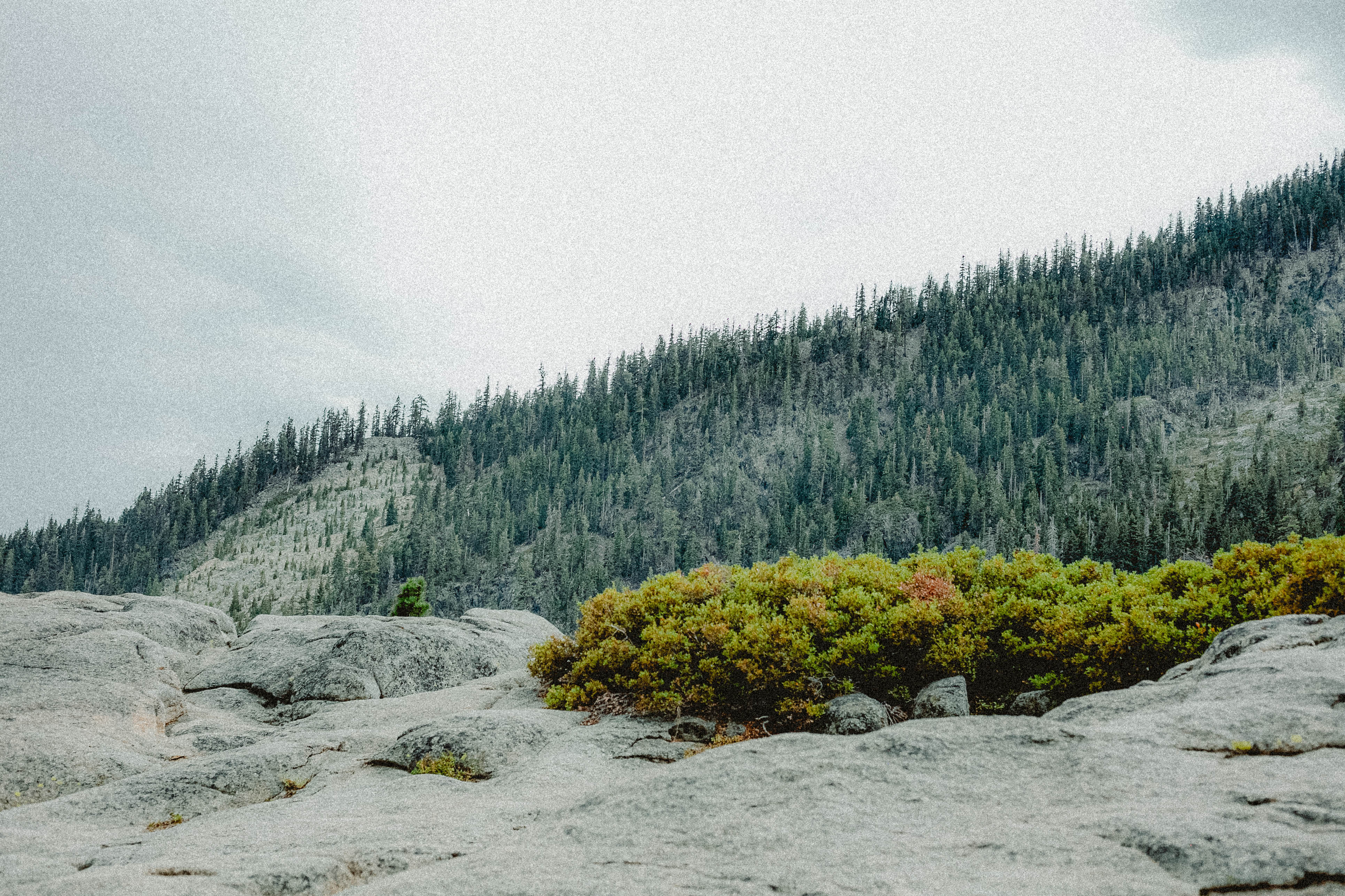 Lake Tahoe 200