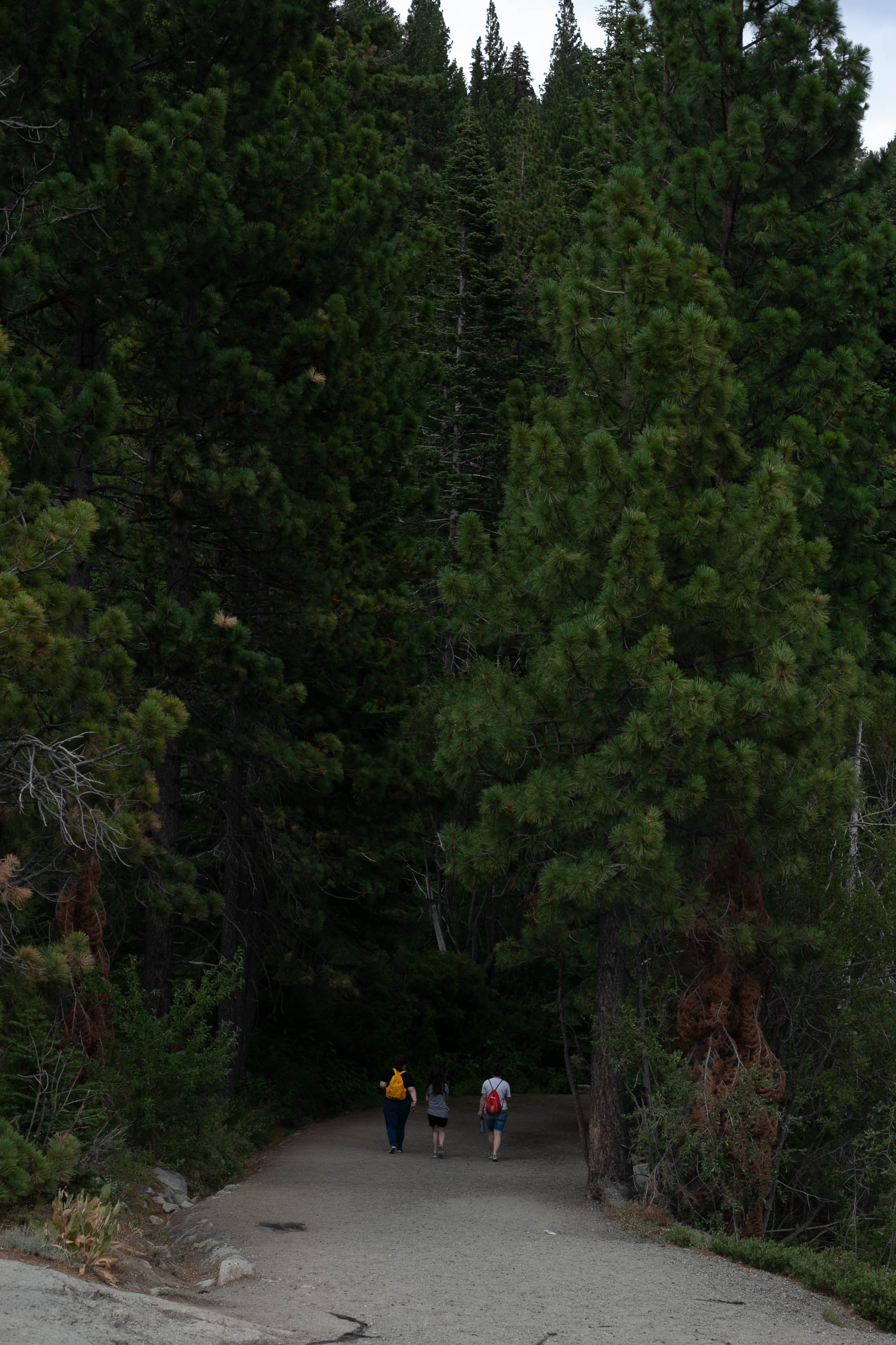 Lake Tahoe 203