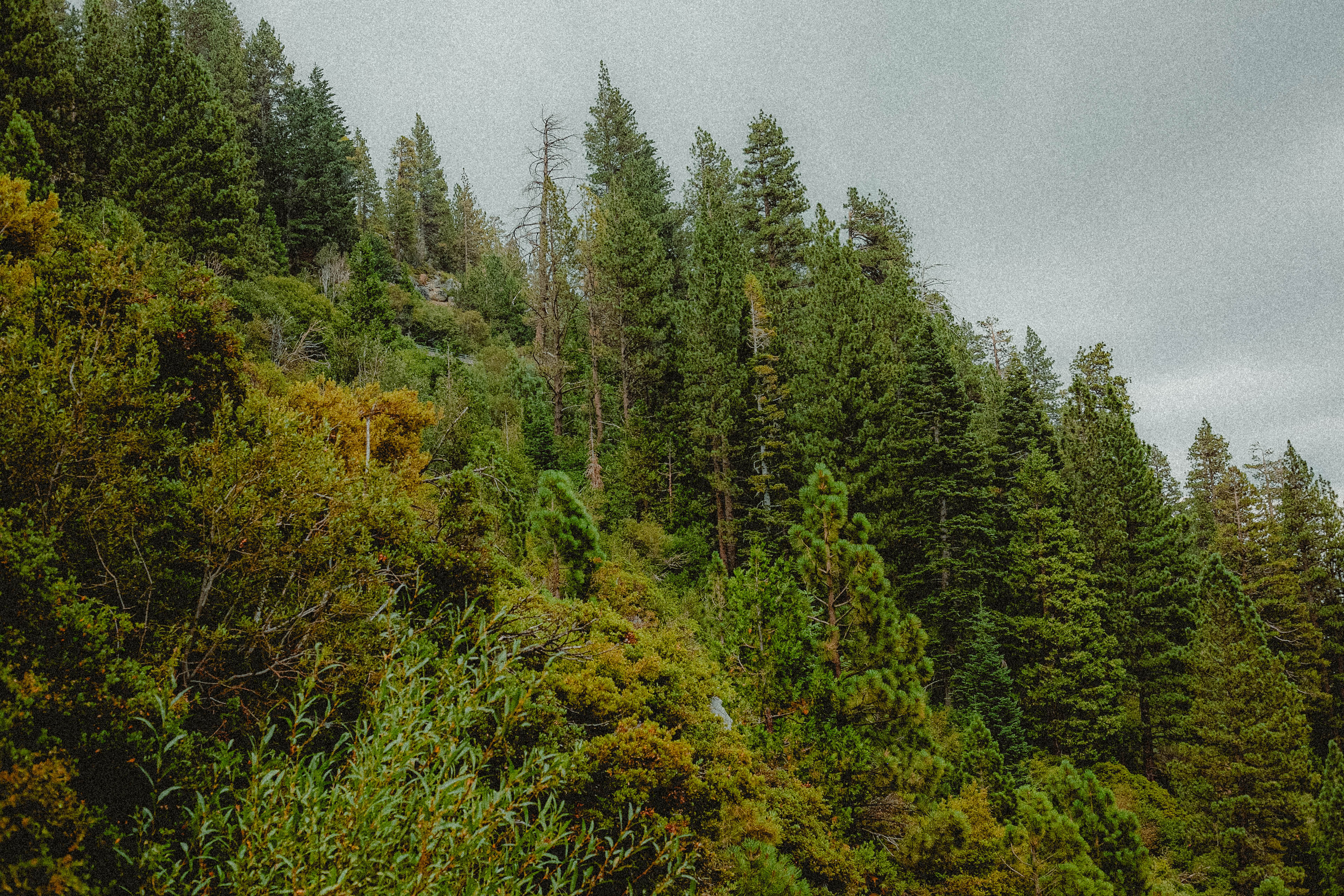 Lake Tahoe 222