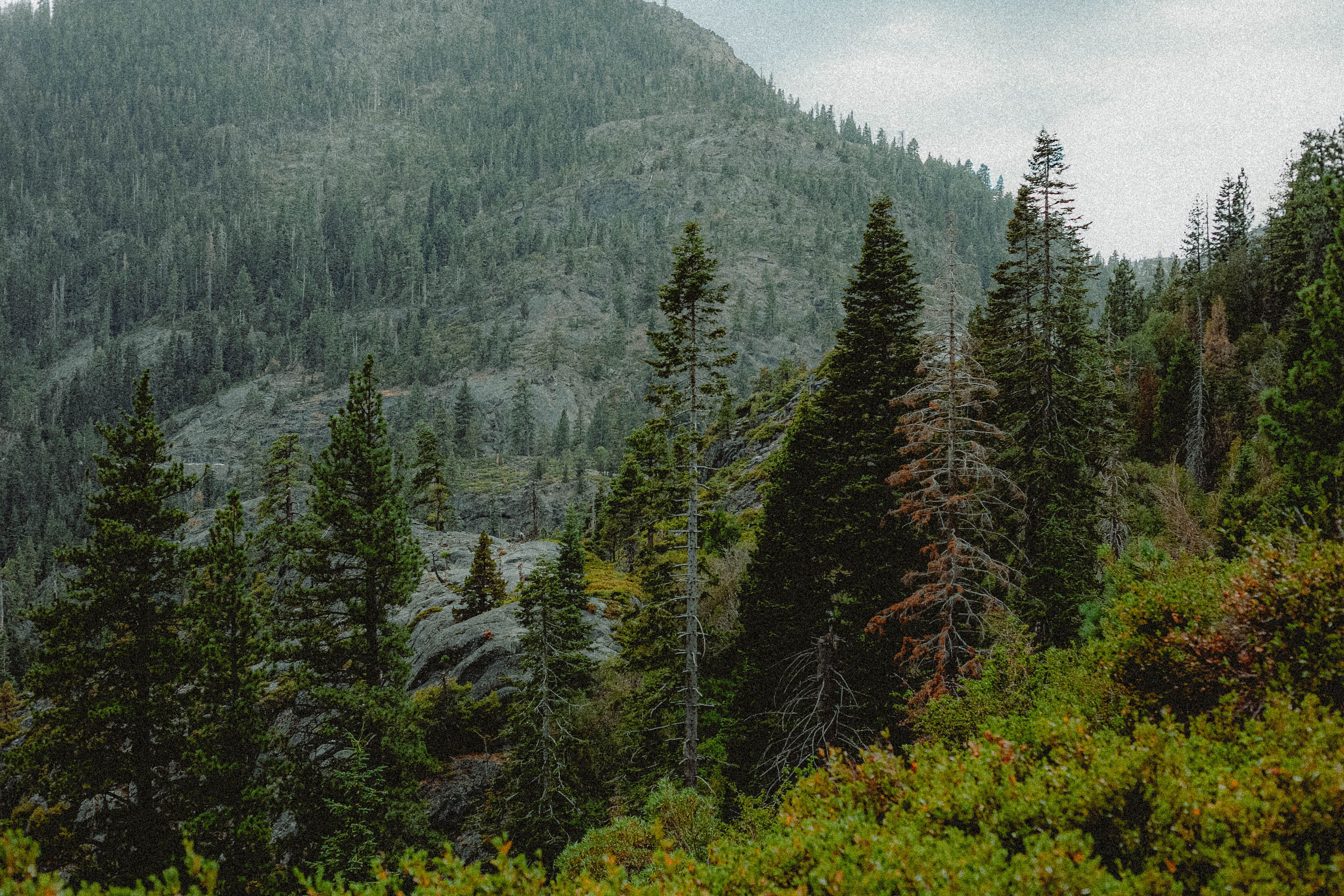 Lake Tahoe 230