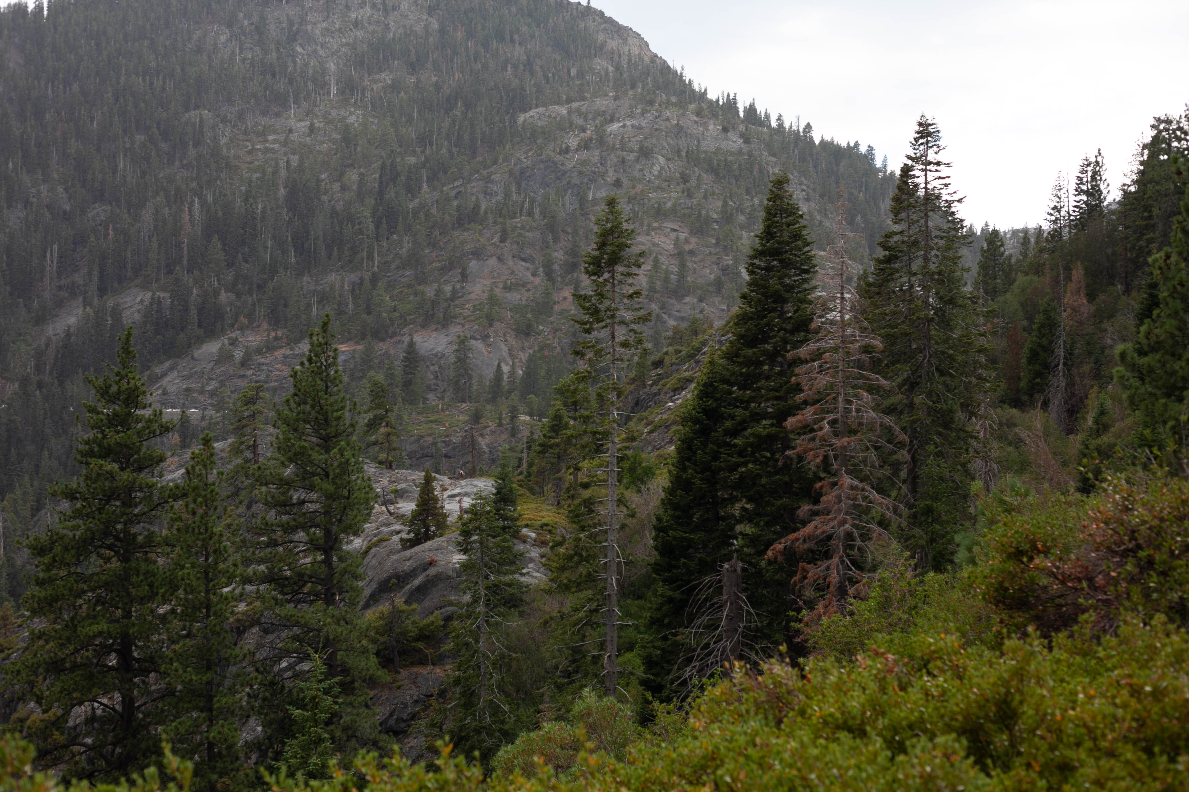 Lake Tahoe 229