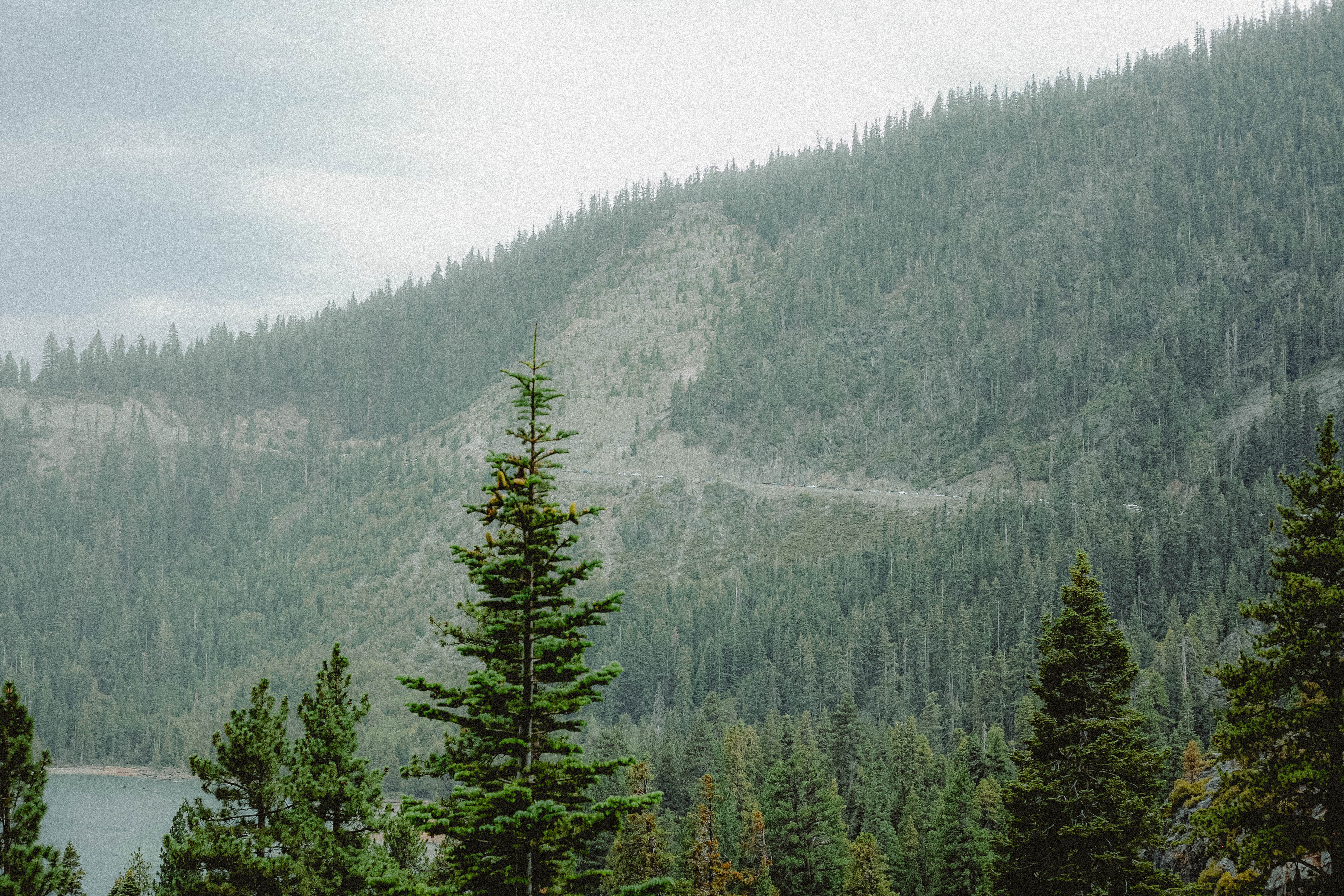 Lake Tahoe 234