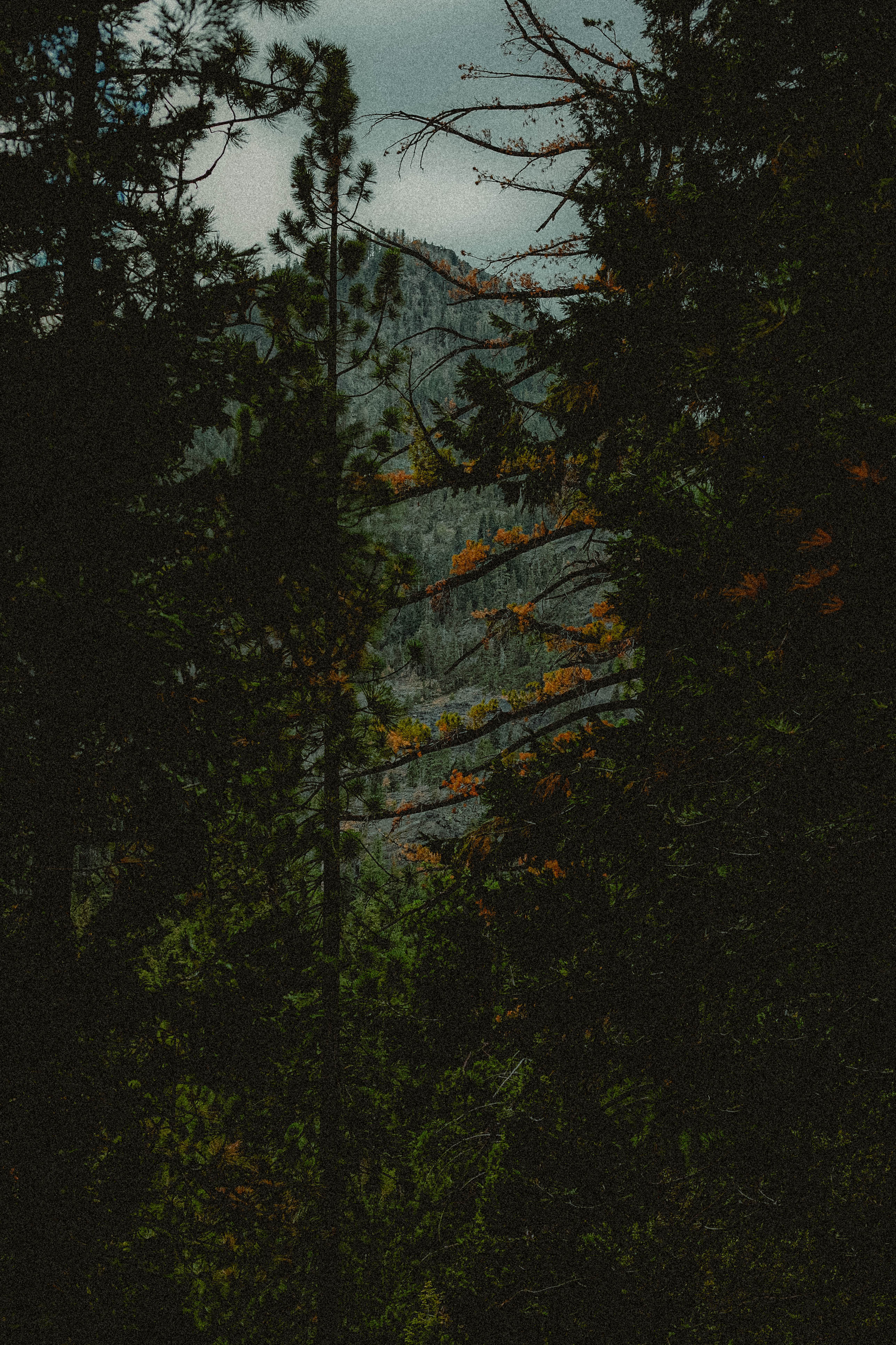 Lake Tahoe 248