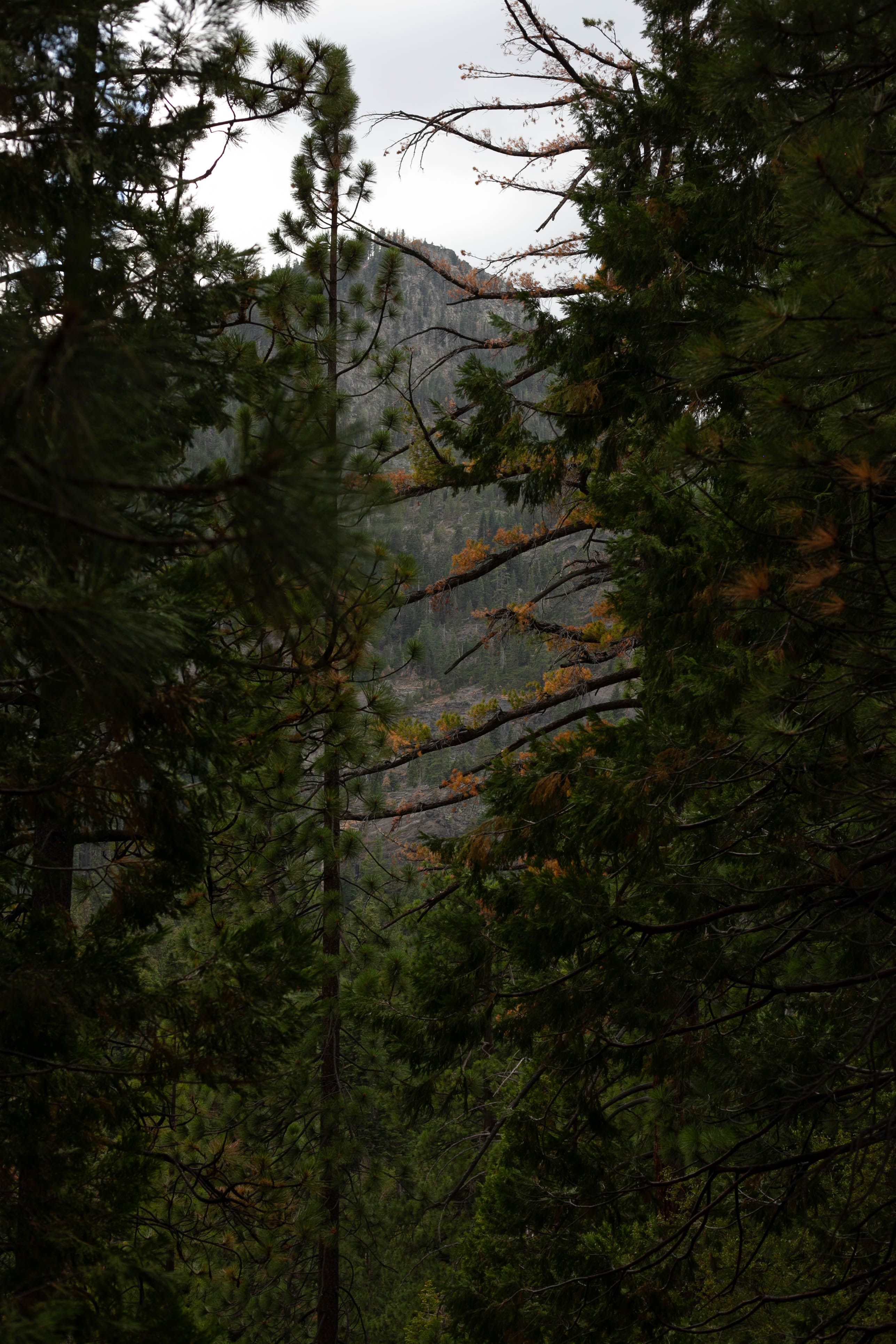 Lake Tahoe 247