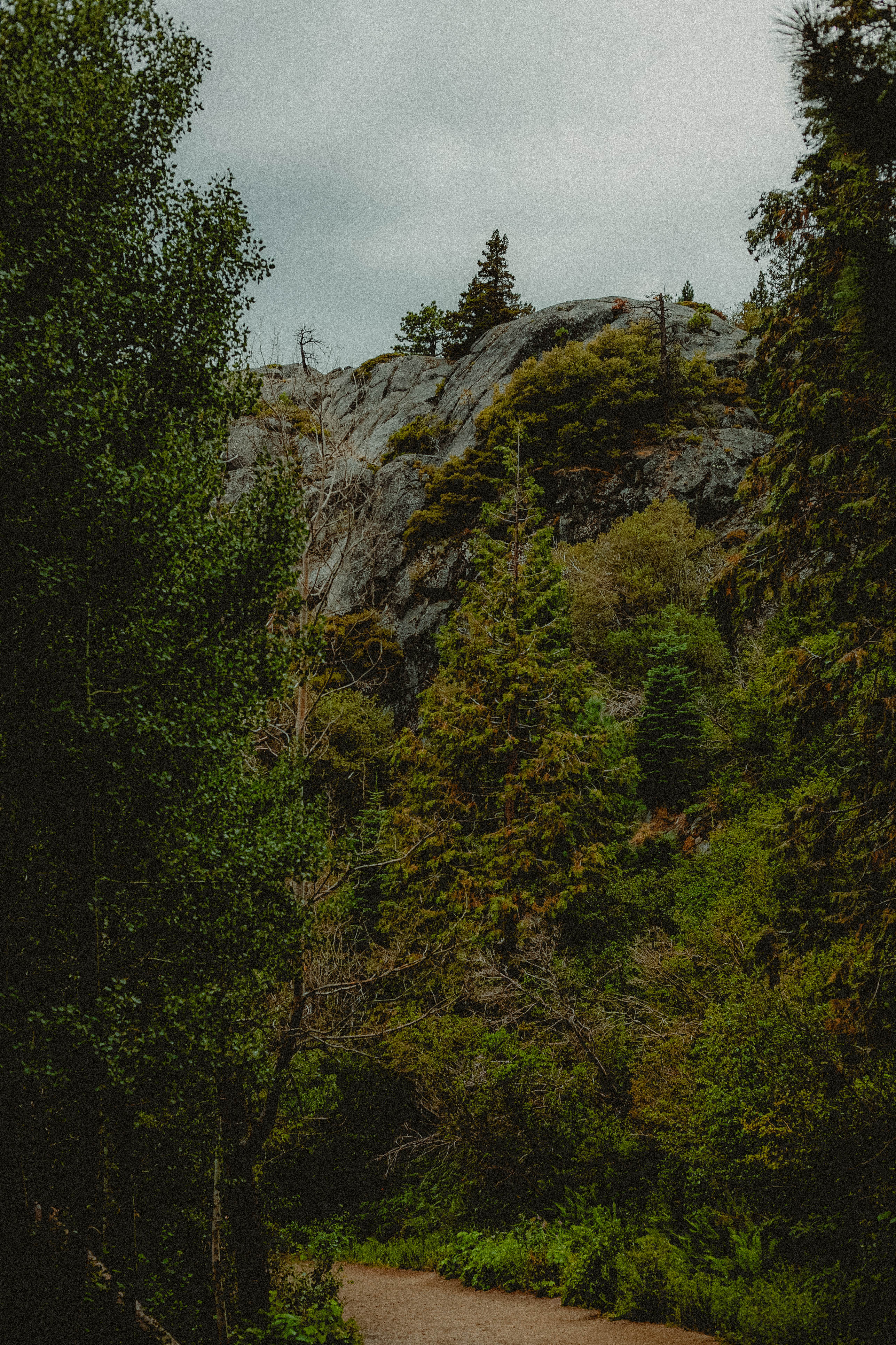 Lake Tahoe 260