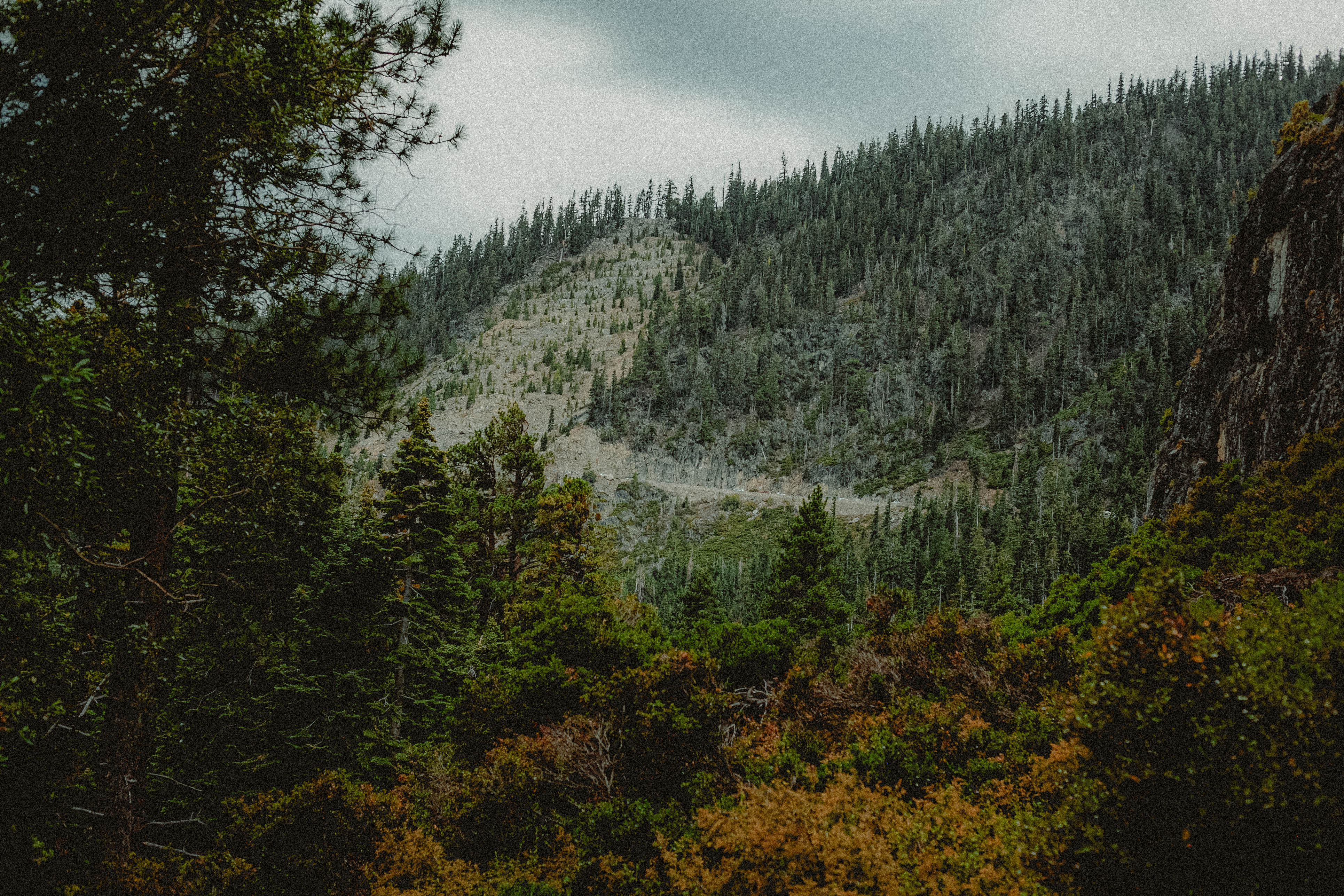 Lake Tahoe 262