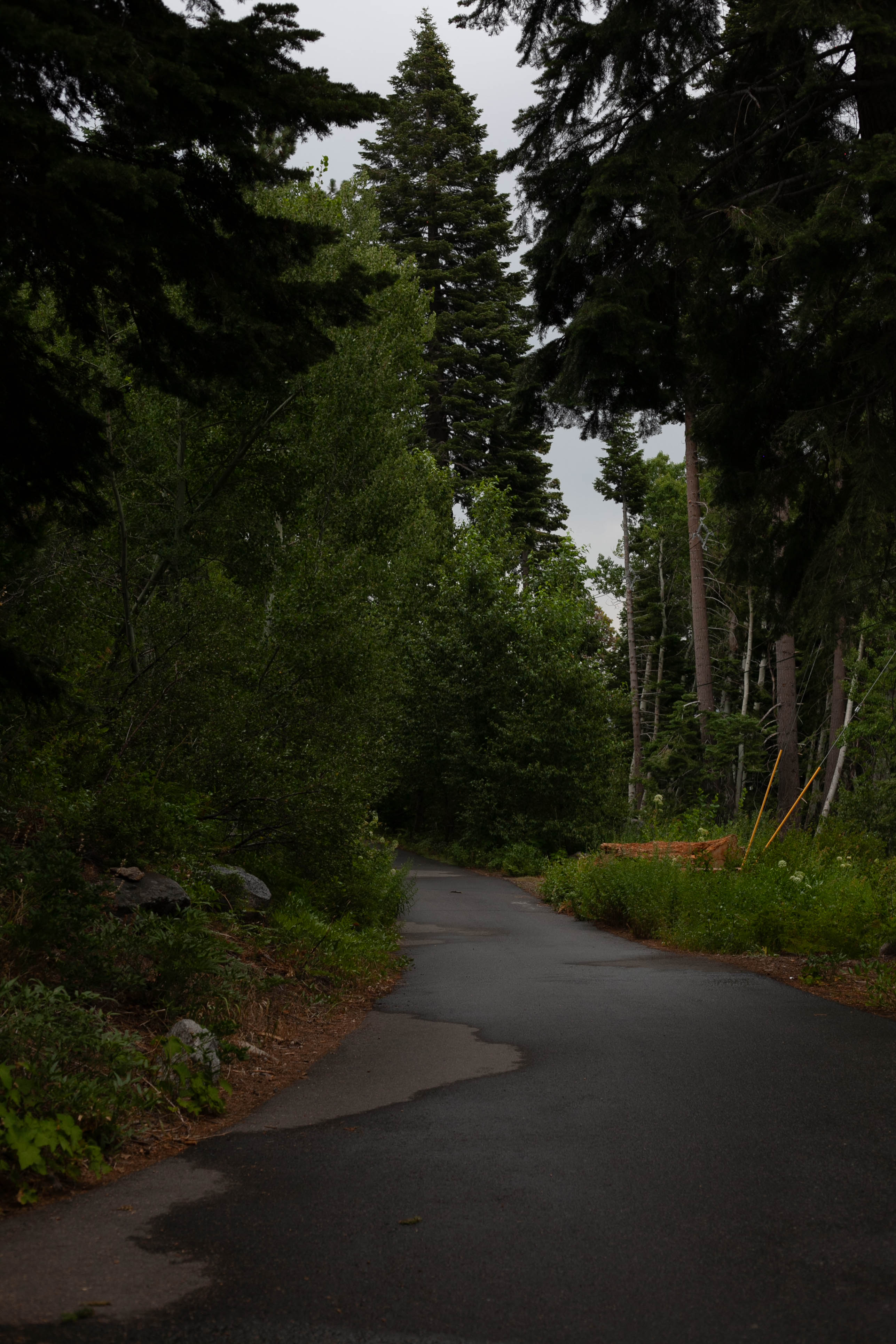 Lake Tahoe 263
