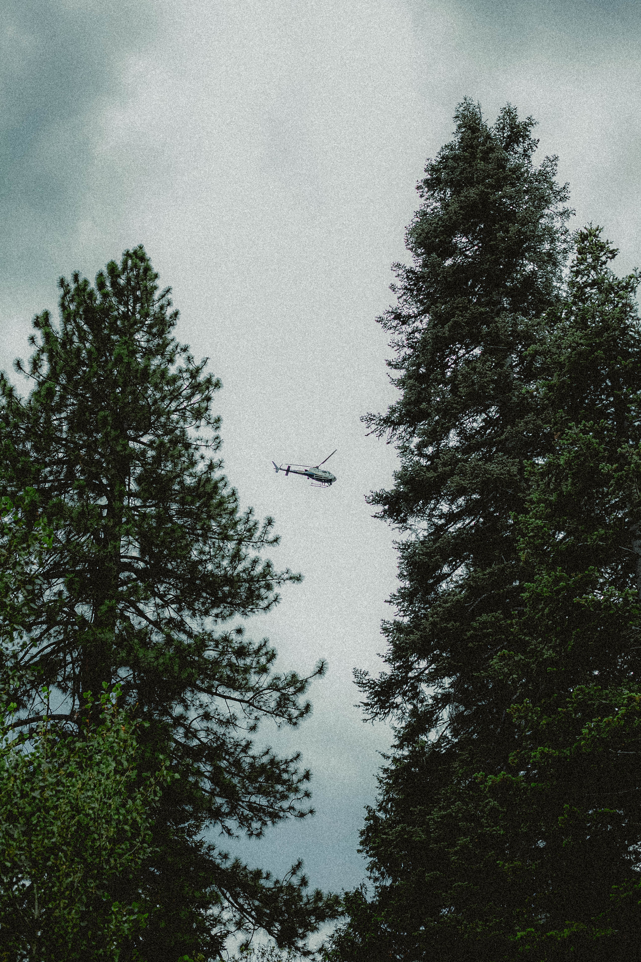 Lake Tahoe 268