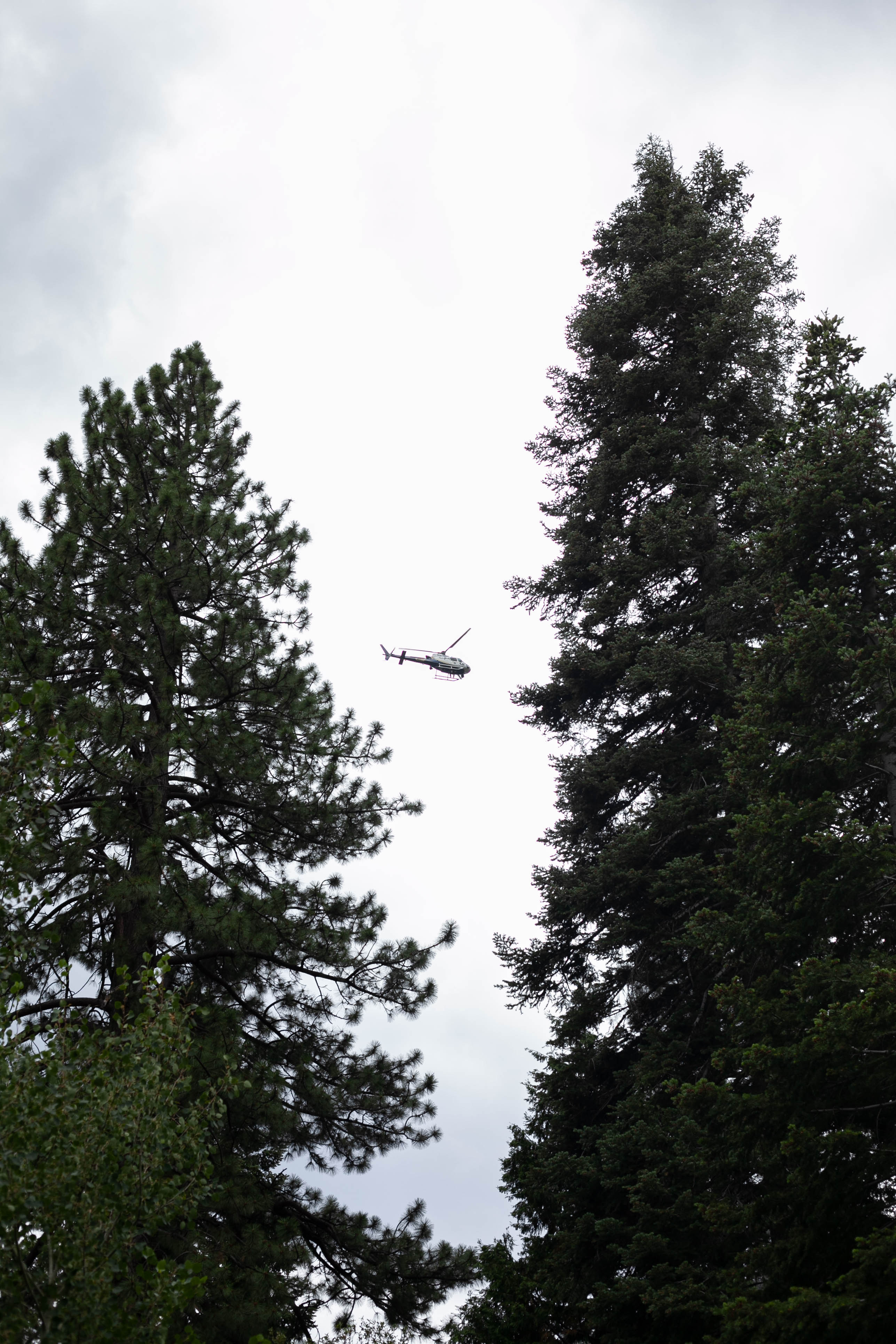 Lake Tahoe 267