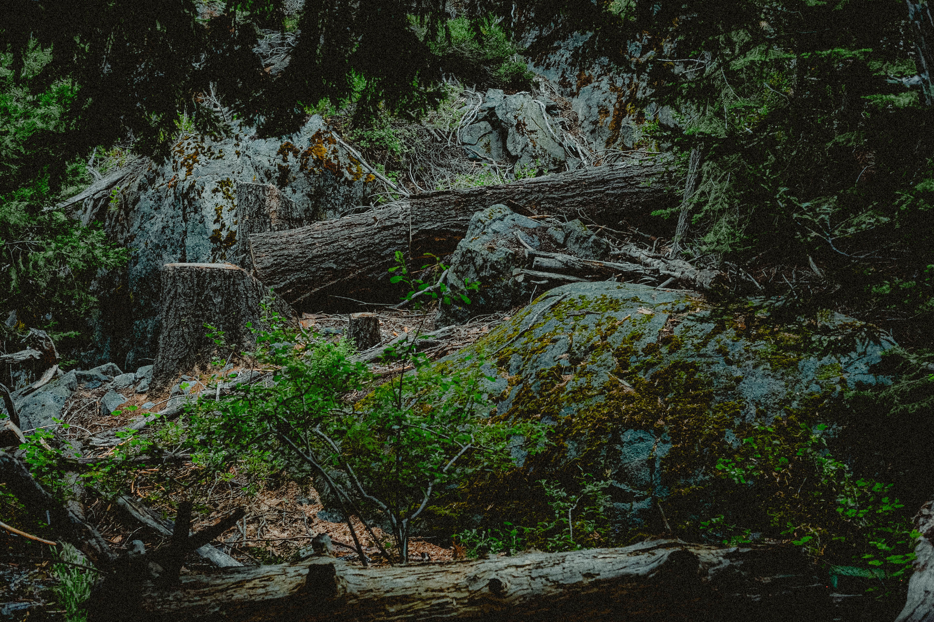 Lake Tahoe 270
