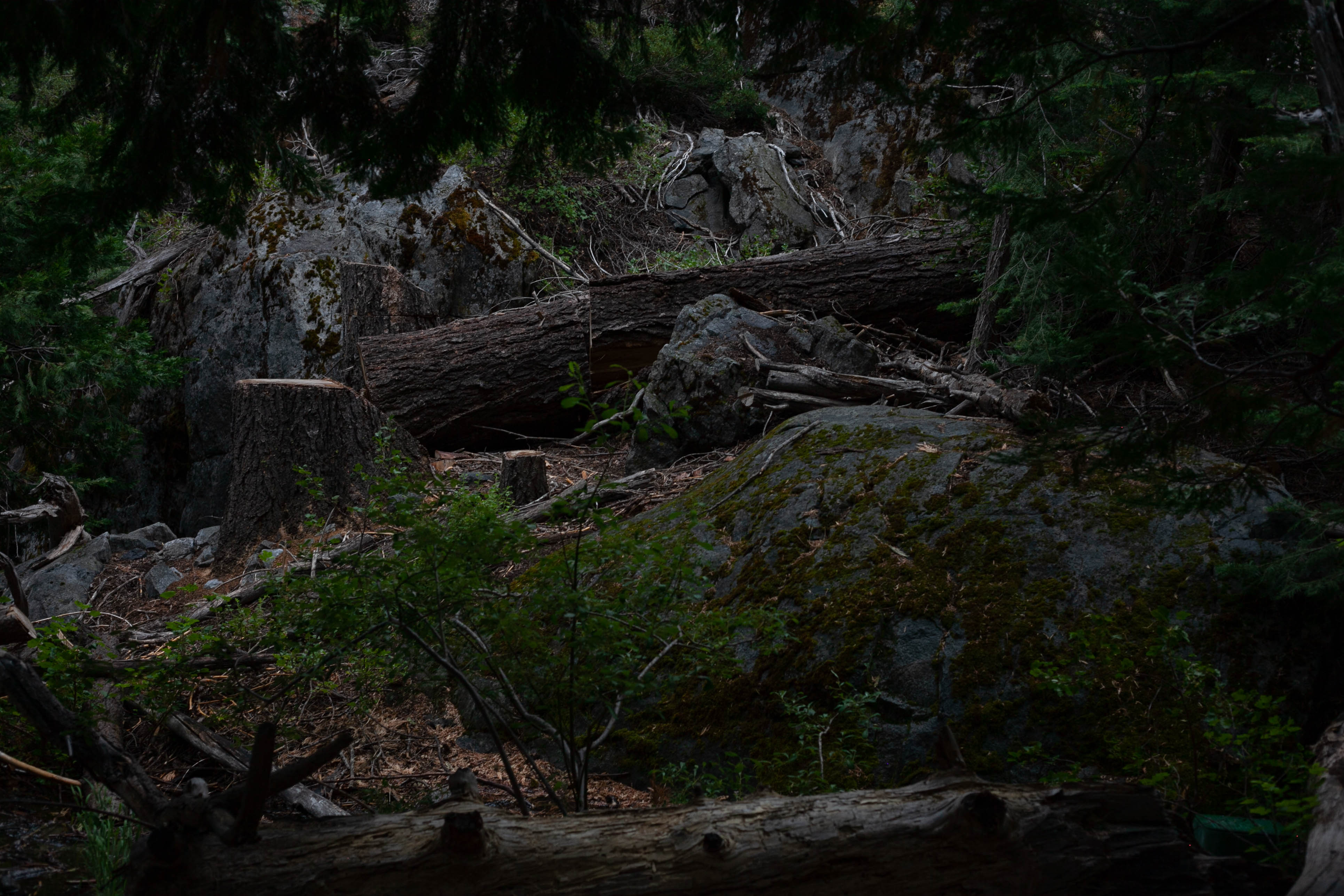 Lake Tahoe 269