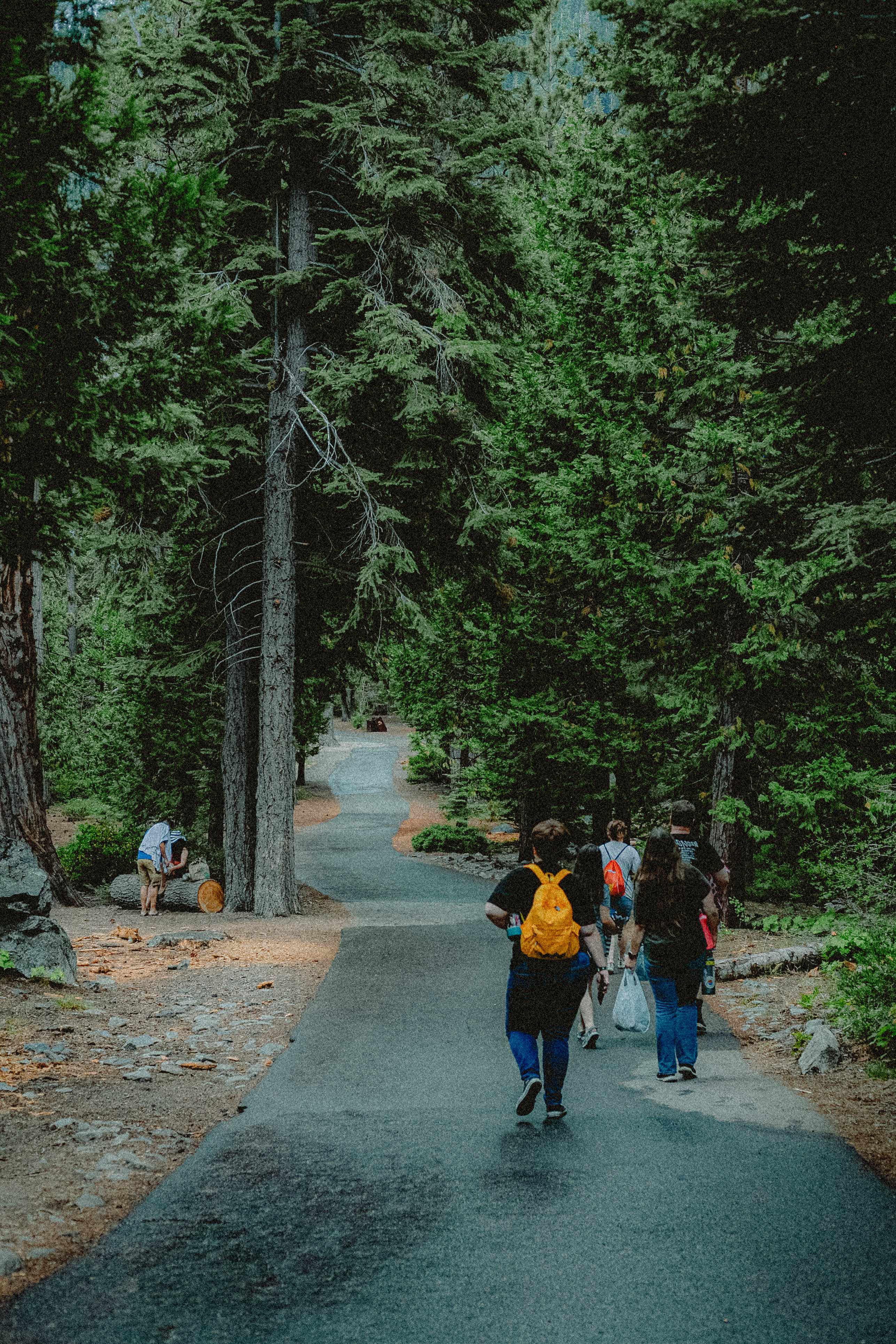 Lake Tahoe 278