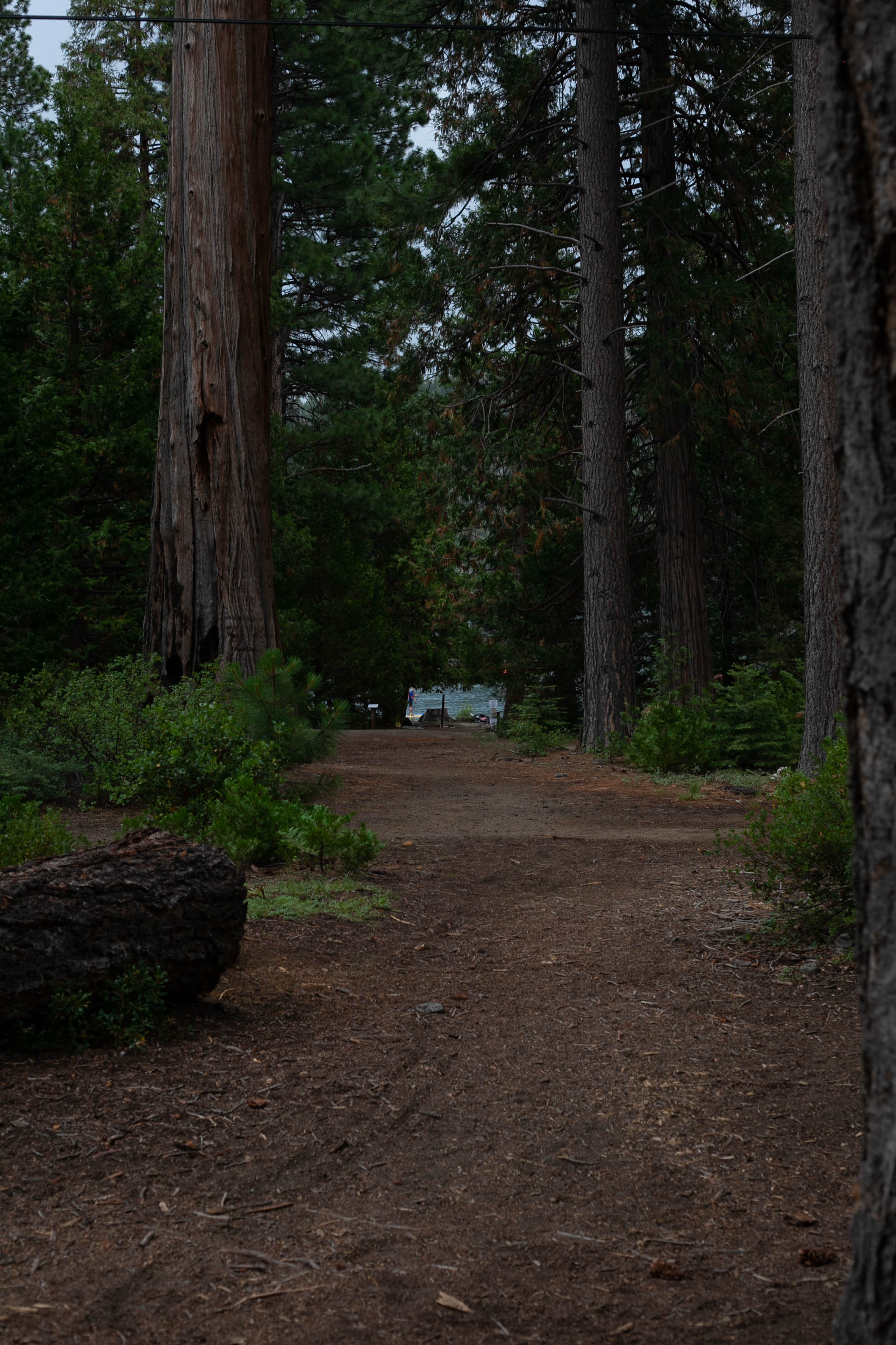 Lake Tahoe 279
