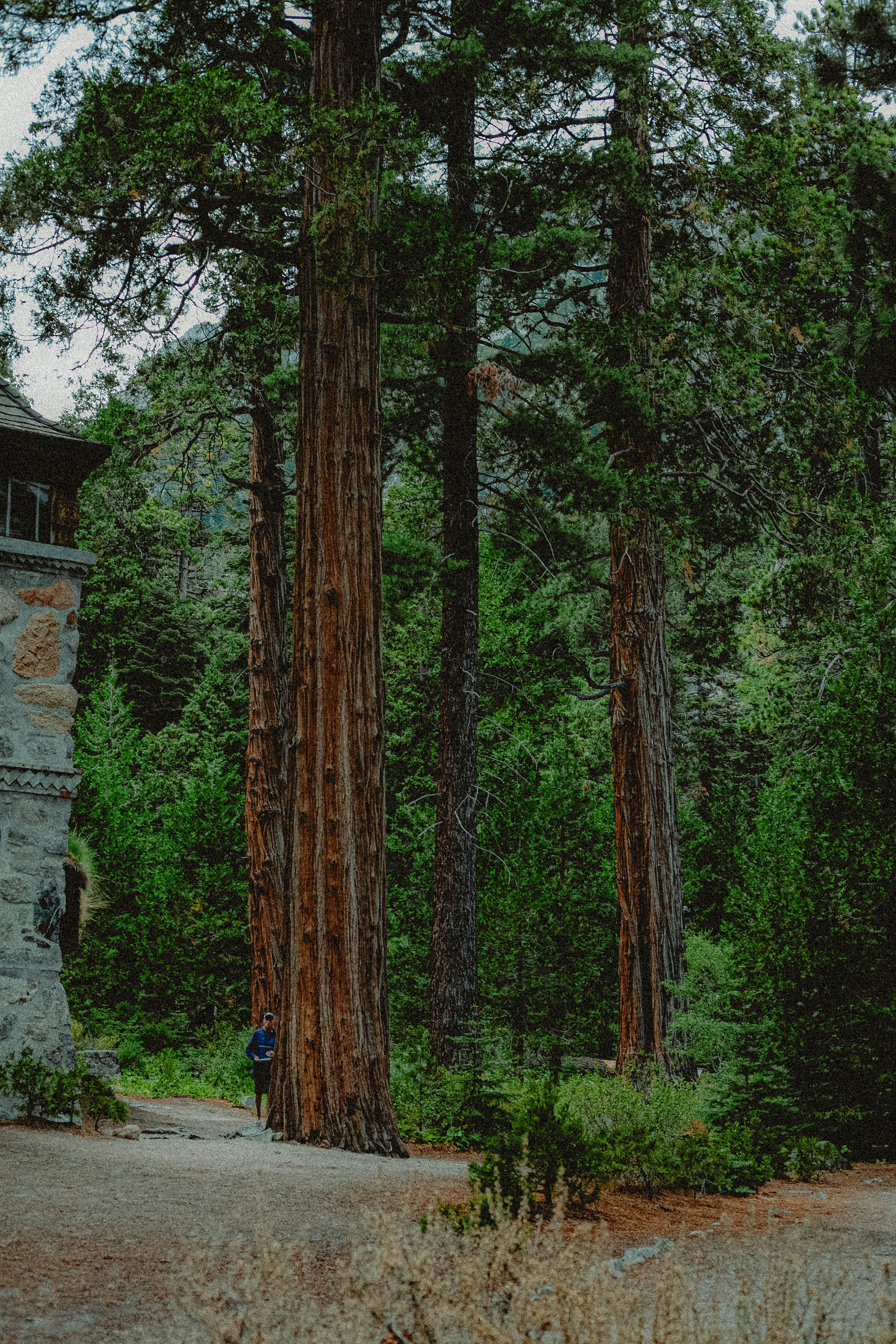 Lake Tahoe 310