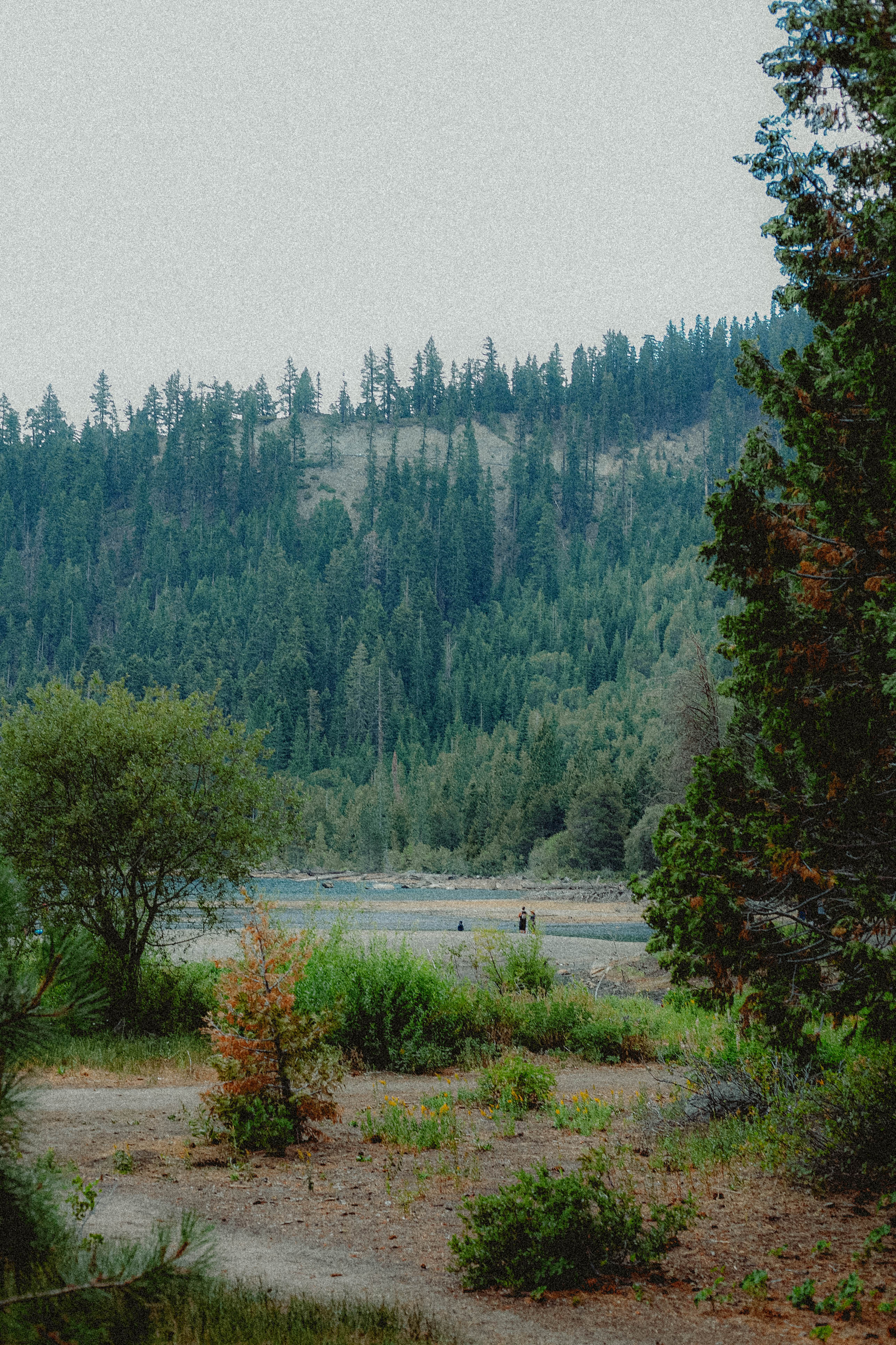 Lake Tahoe 314