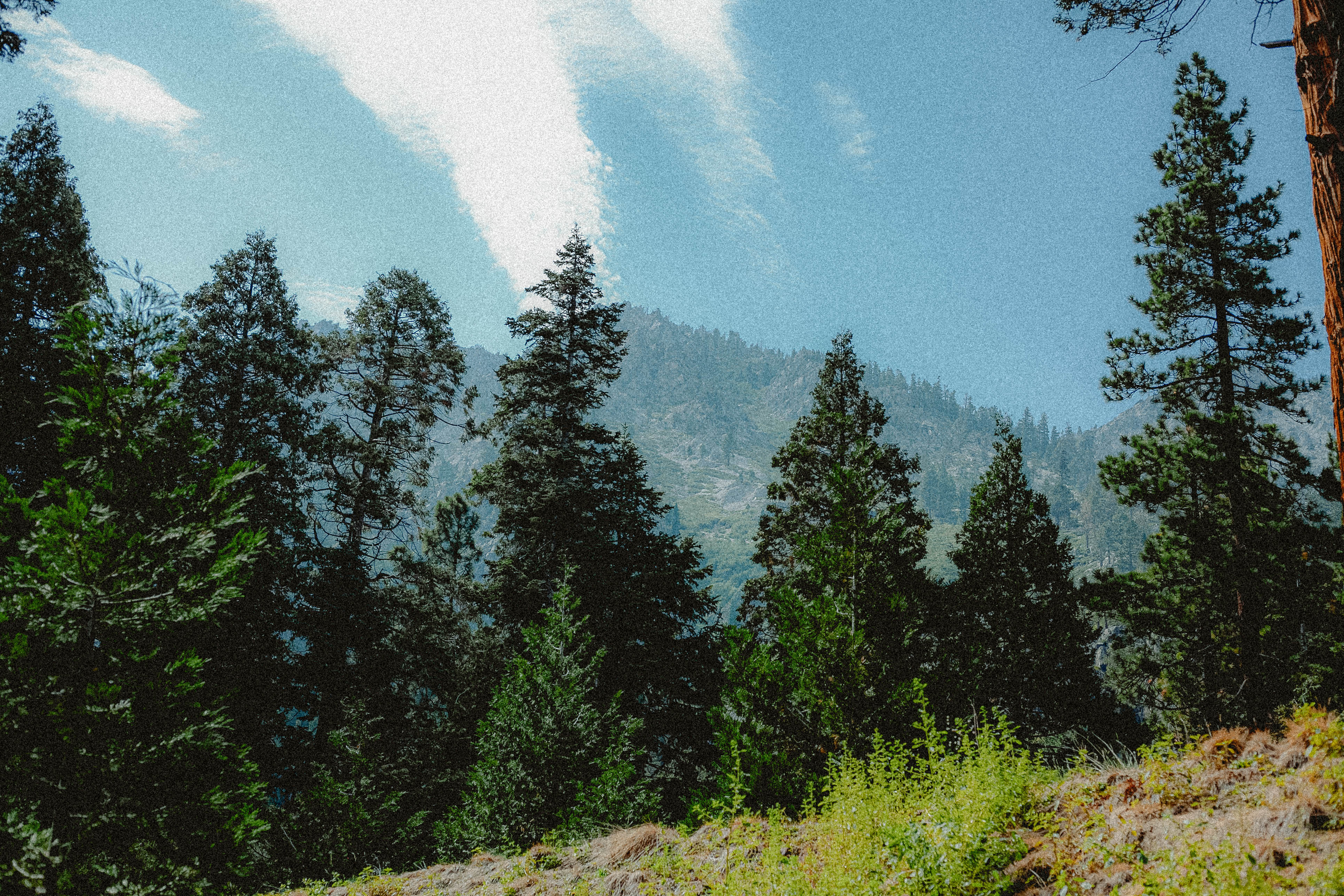 Lake Tahoe 330