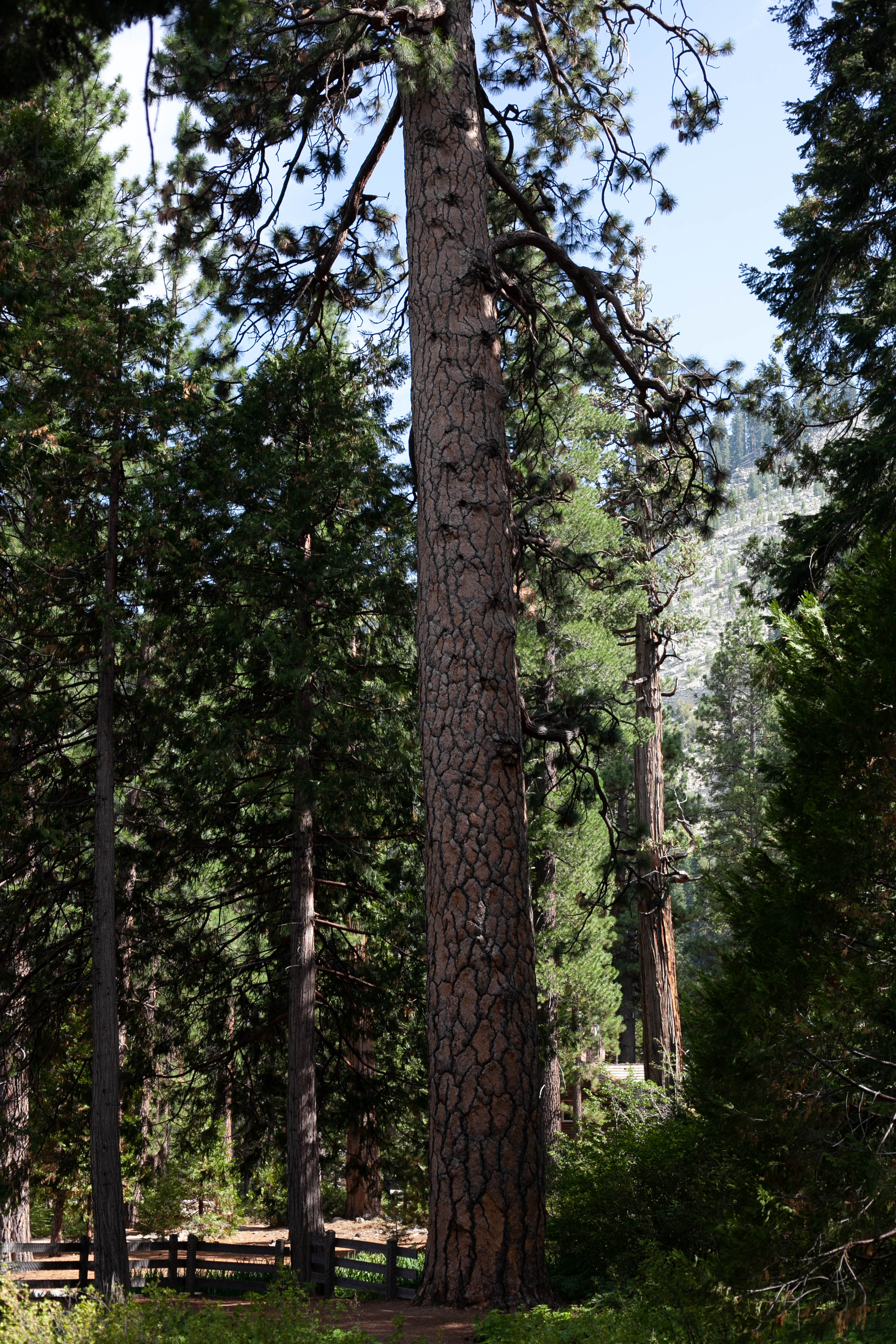Lake Tahoe 351