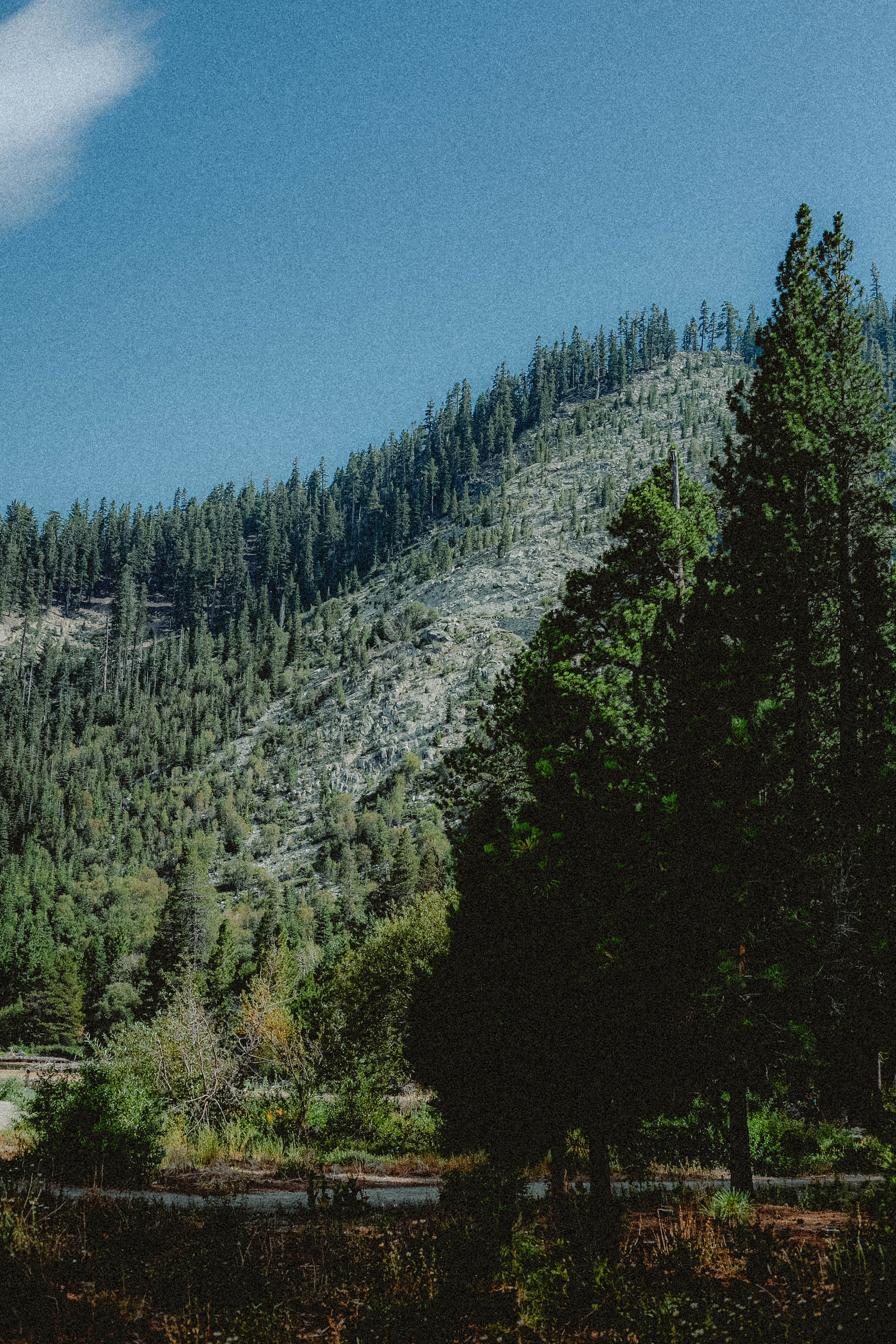 Lake Tahoe 356
