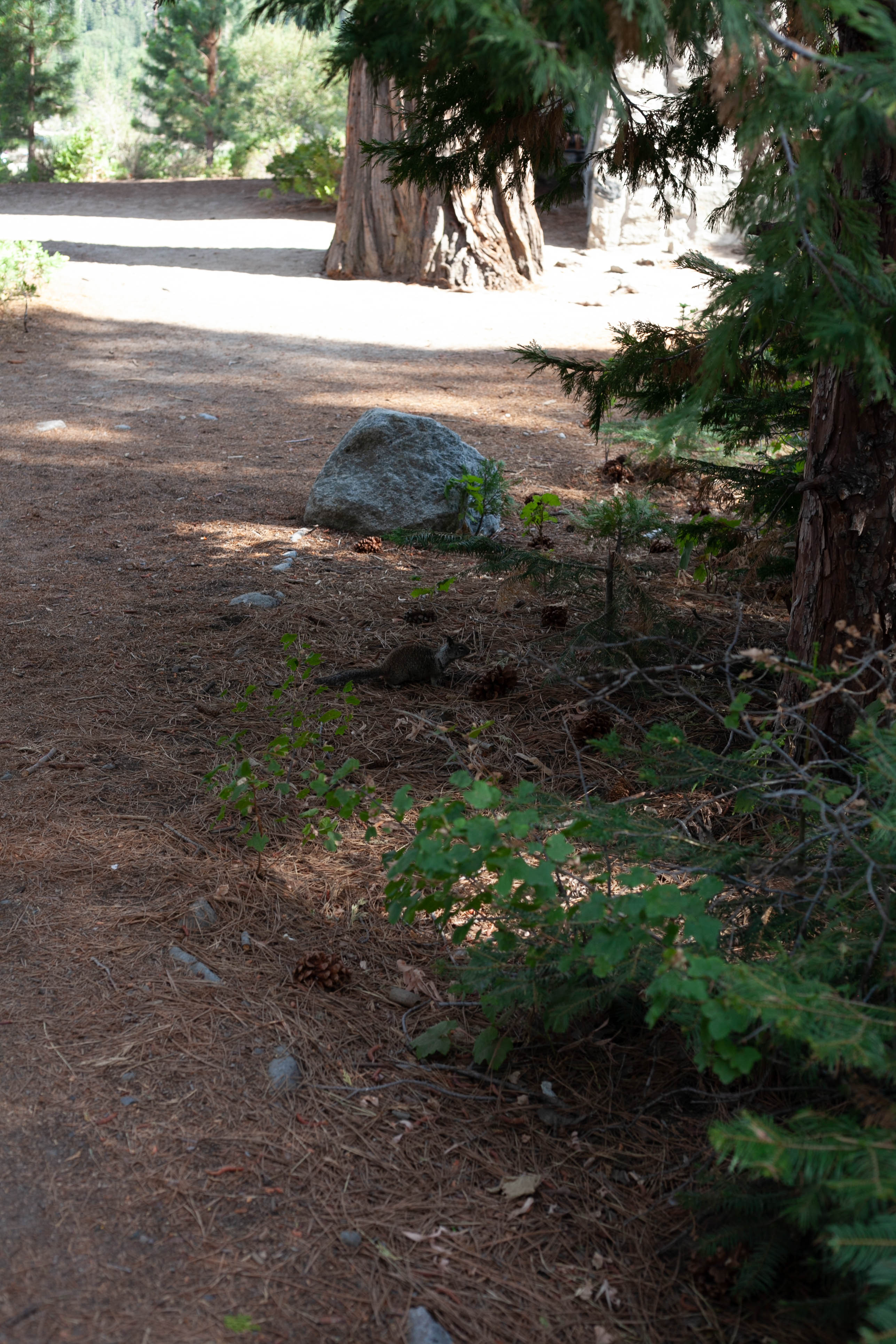 Lake Tahoe 373