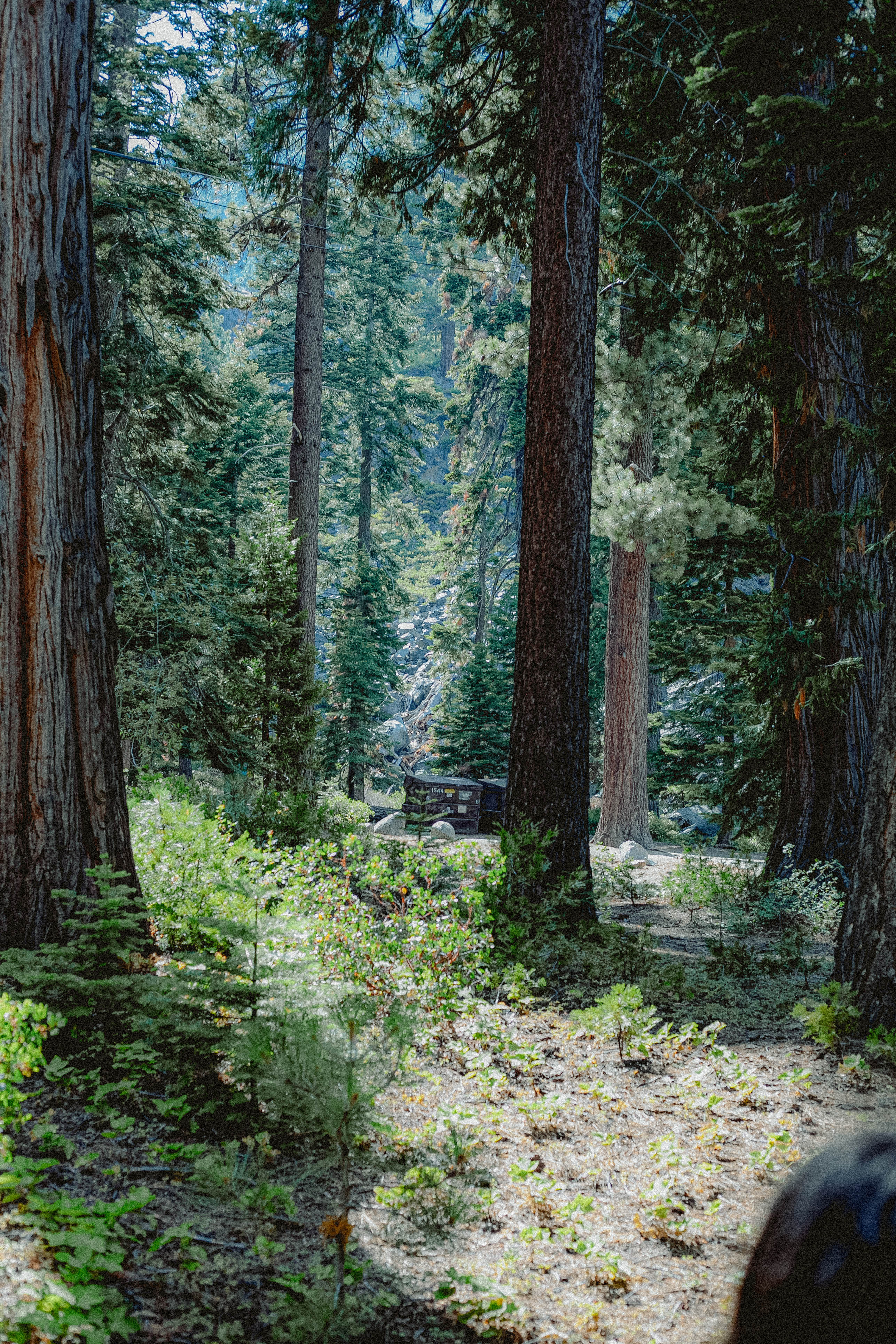 Lake Tahoe 376