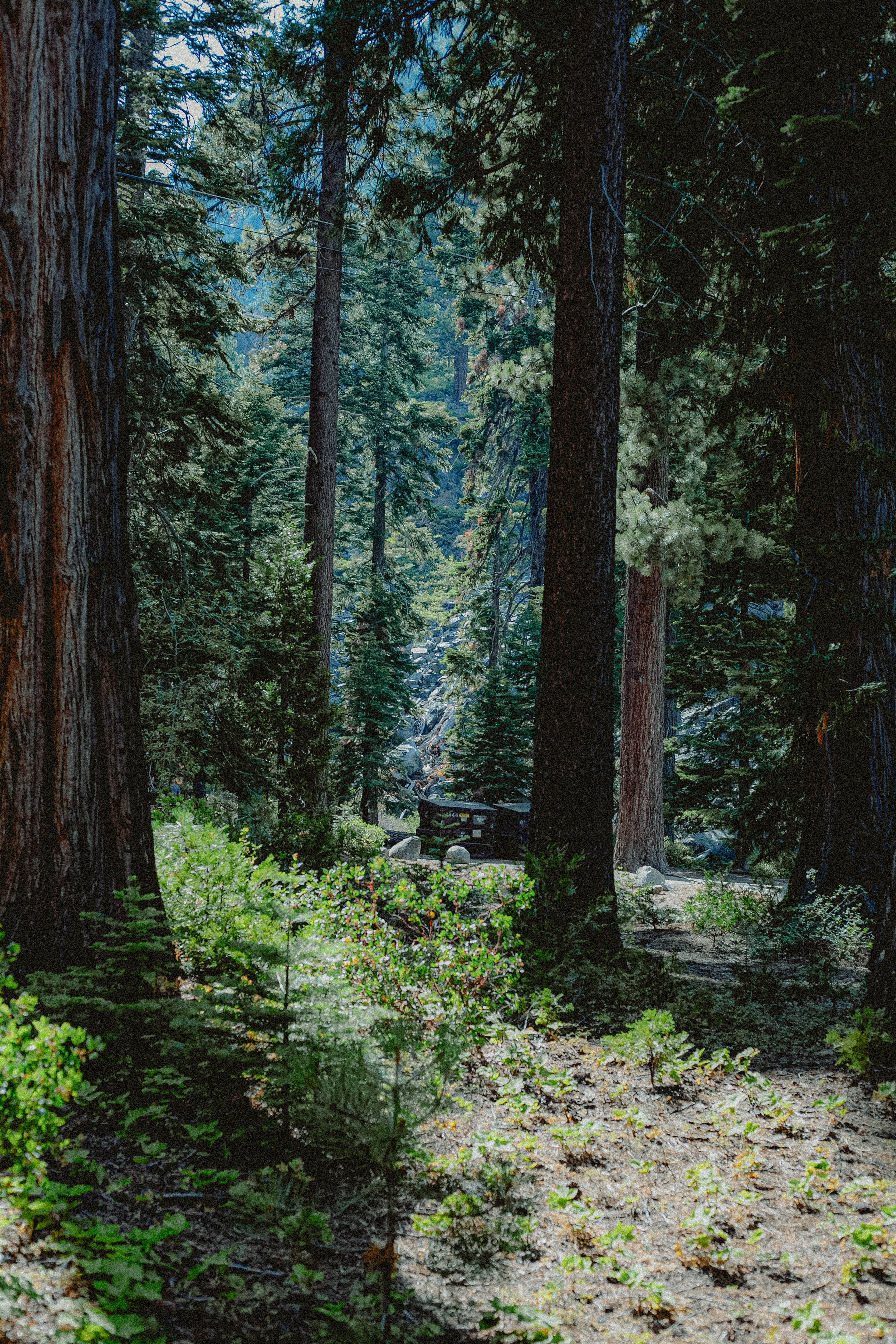 Lake Tahoe 378